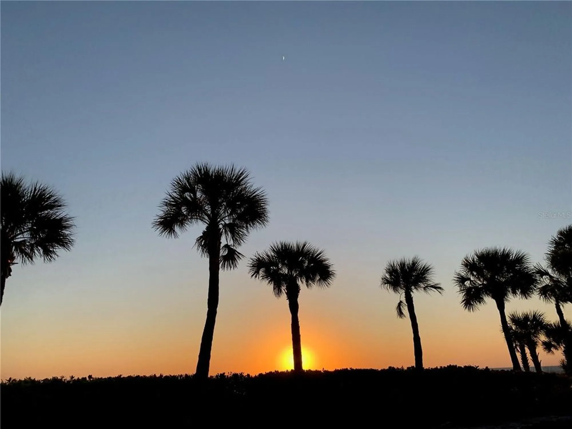 Property Slideshow image 100 of 100 | 5679 ferrara dr, Sarasota, FL, 34238