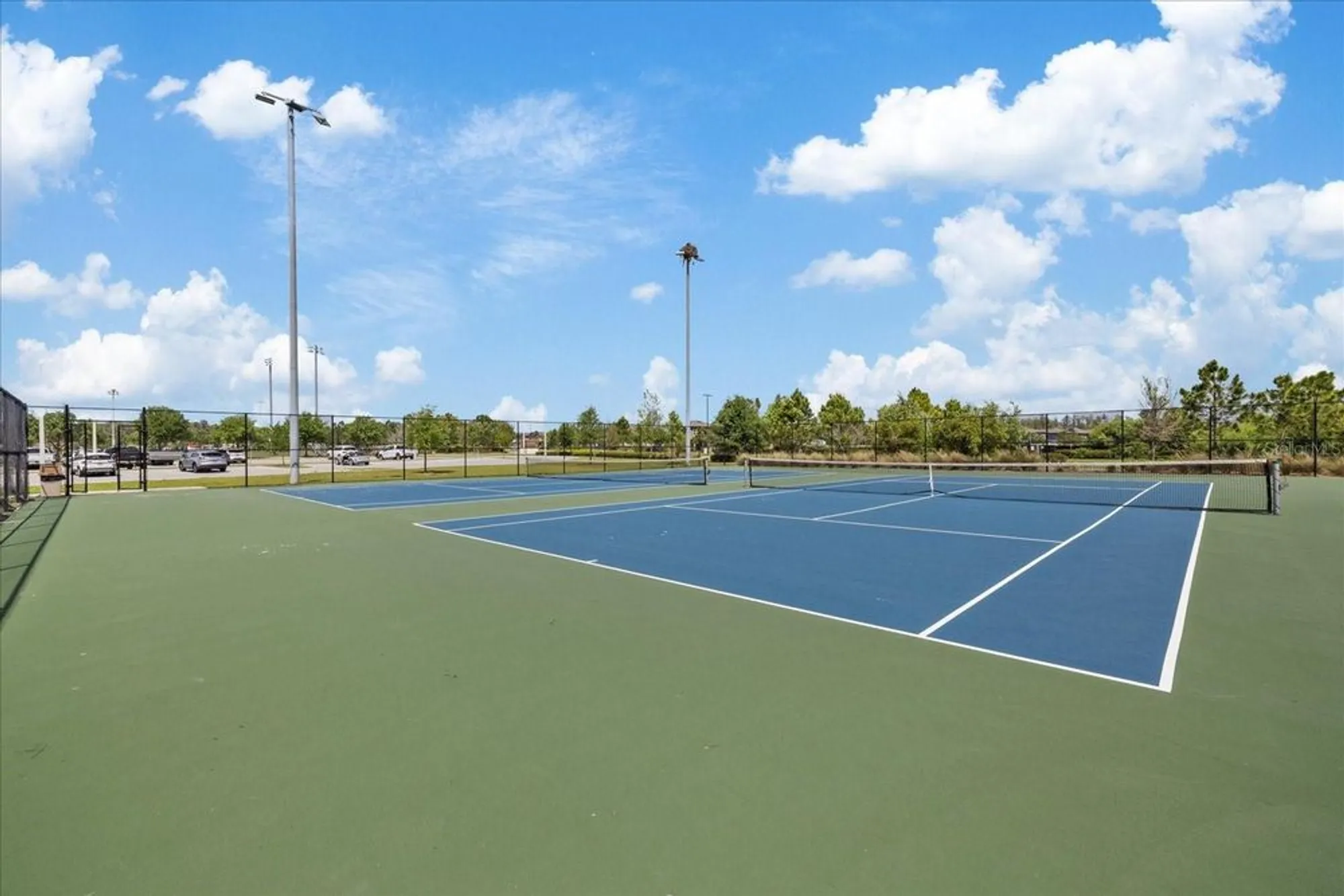 Property Slideshow image 85 of 91 | 11398 juglans dr, Odessa, FL, 33556