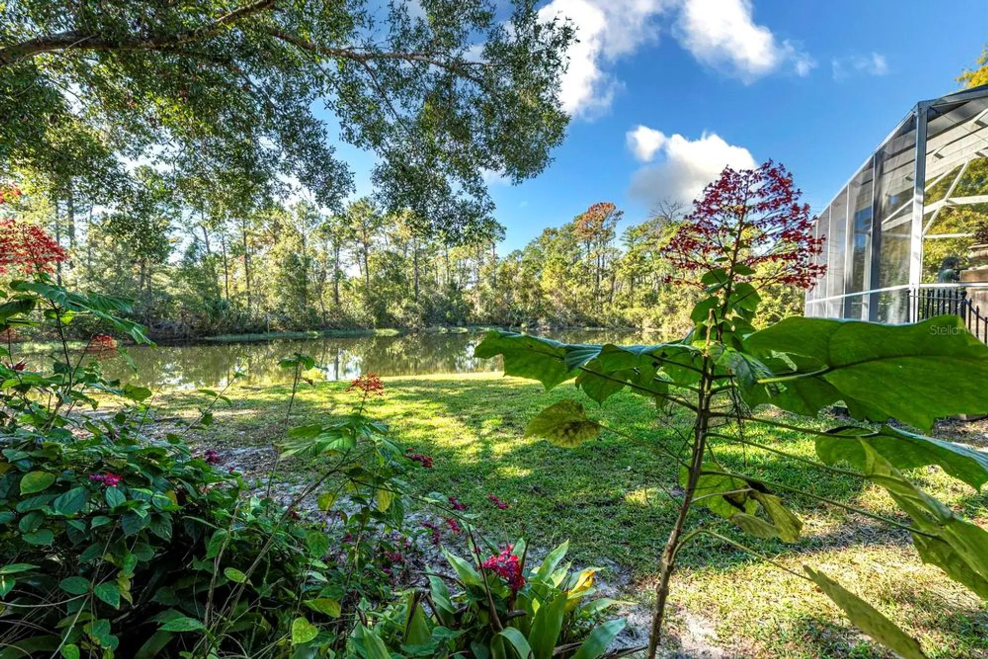 Property Slideshow image 55 of 64 | 5061 greenbriar trl, Mount Dora, FL, 32757