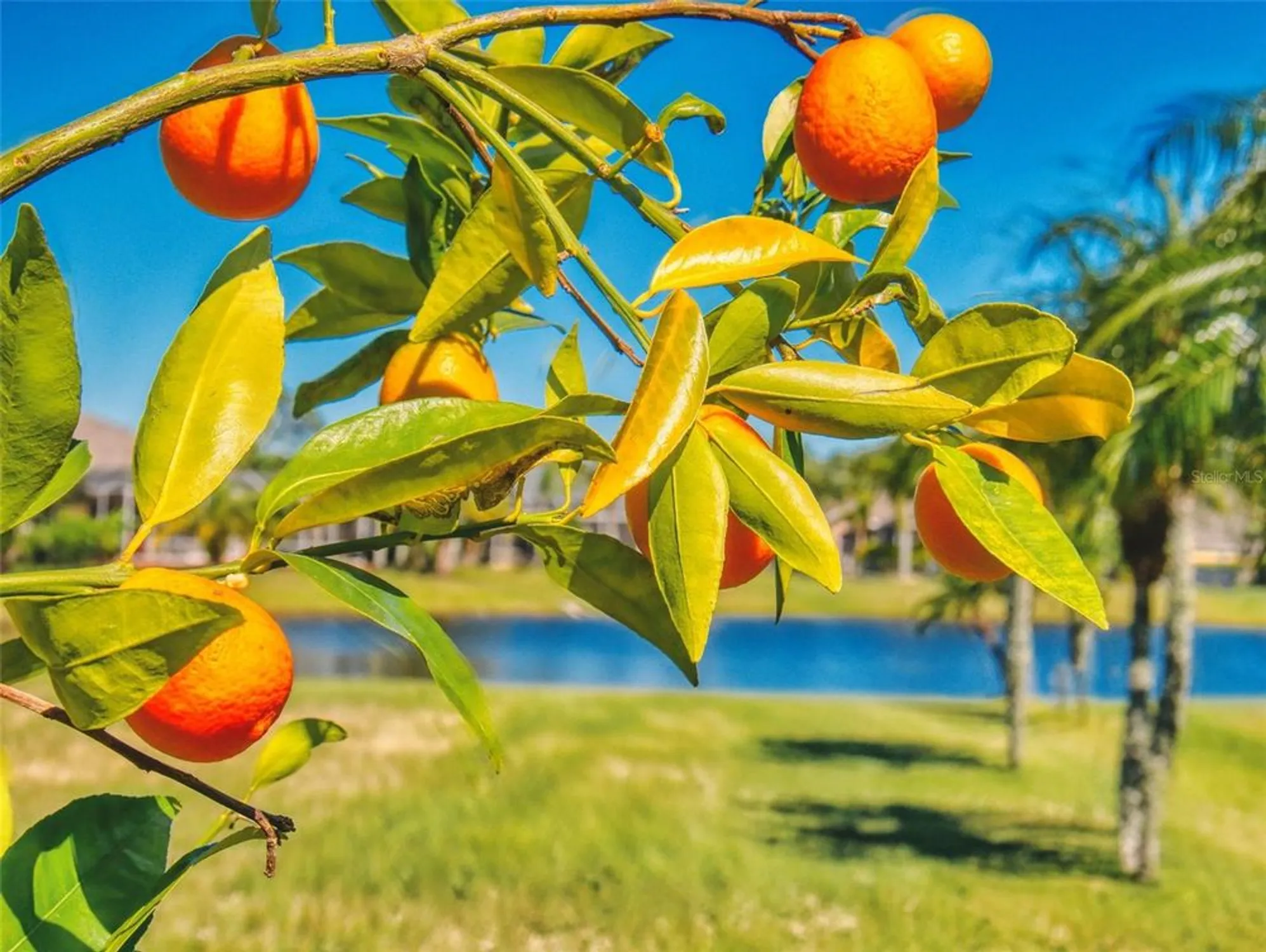 Property Slideshow image 6 of 79 | 3611 marisol ct, New Smyrna Beach, FL, 32168