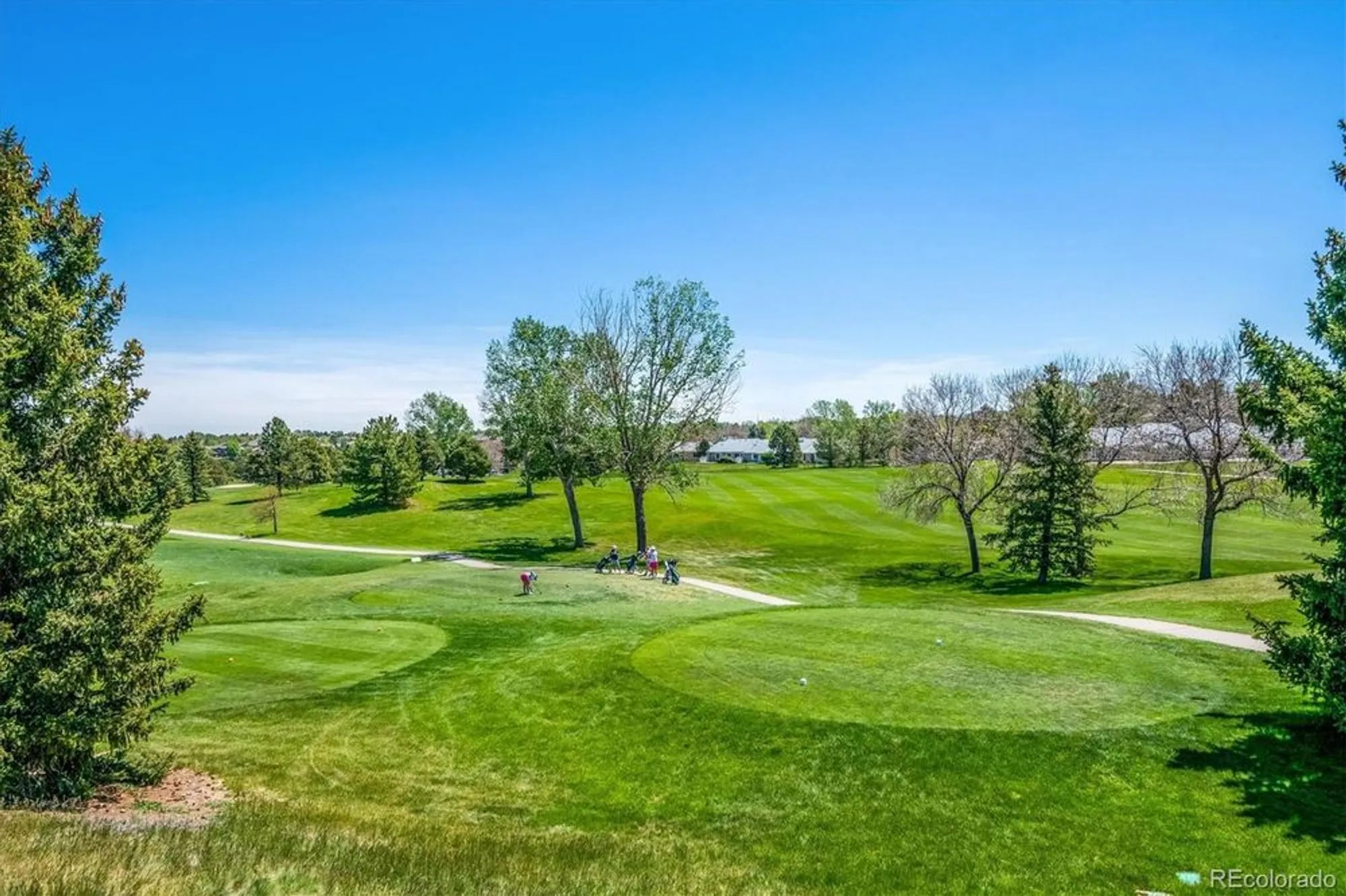 Property Slideshow image 9 of 10 | 7 dunbarton ct, Highlands Ranch, CO, 80130