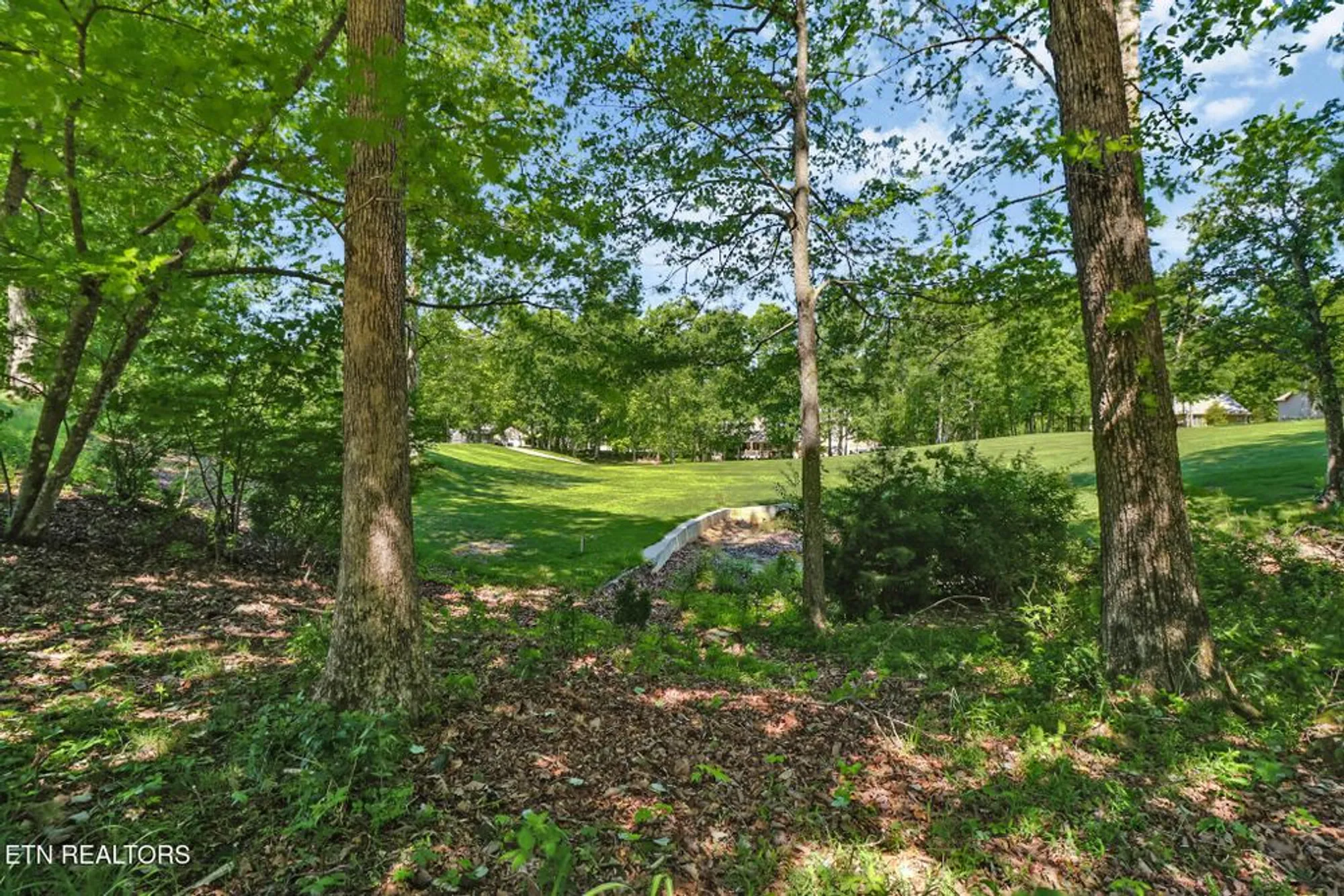 Property Slideshow image 42 of 45 | 116 rolling green dr, Crossville, TN, 38558