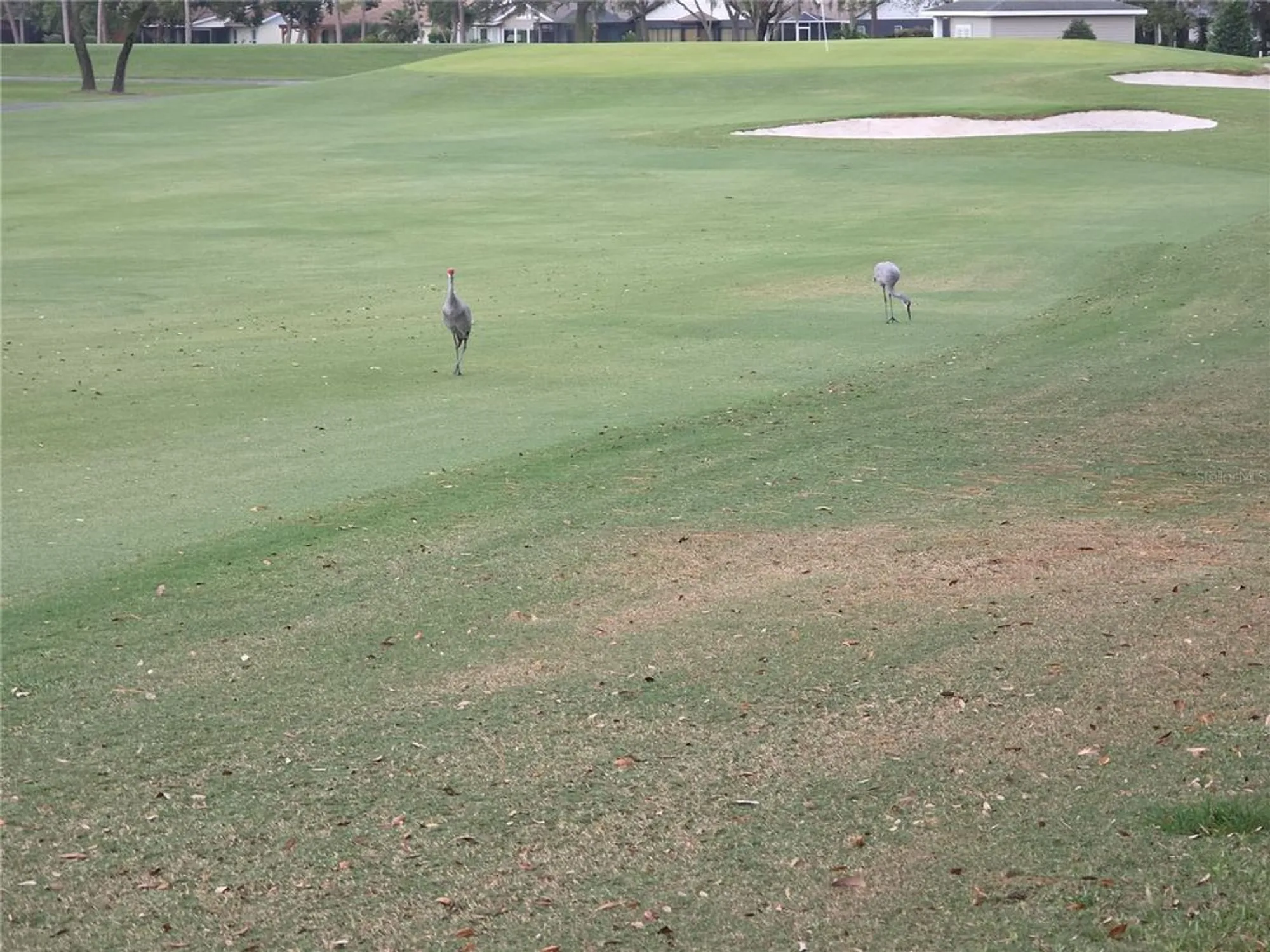 Property Slideshow image 31 of 46 | 6345 pine meadows dr, Spring Hill, FL, 34606