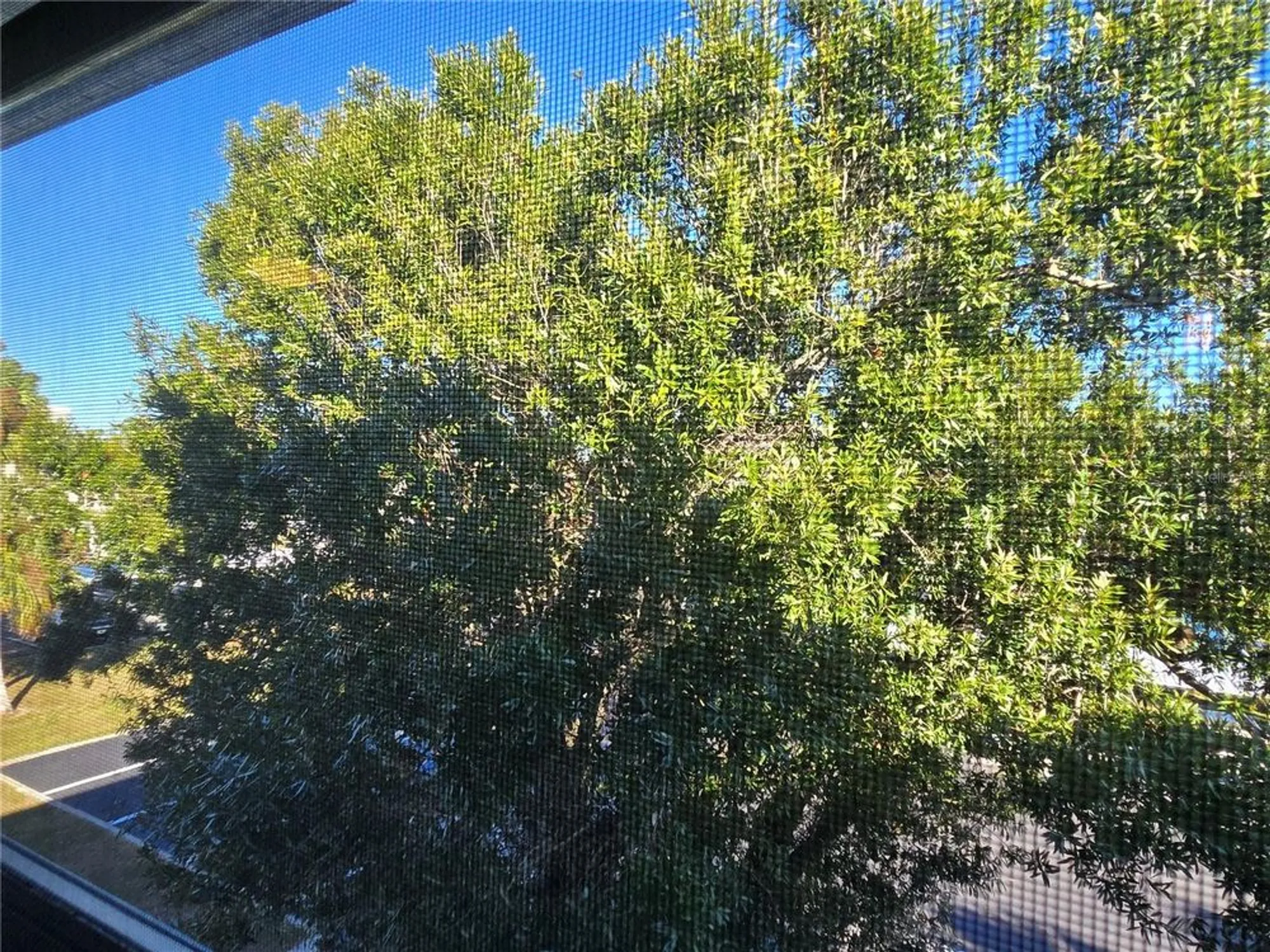 Property Slideshow image 26 of 40 | 21260 brinson ave apt 307, Port Charlotte, FL, 33952