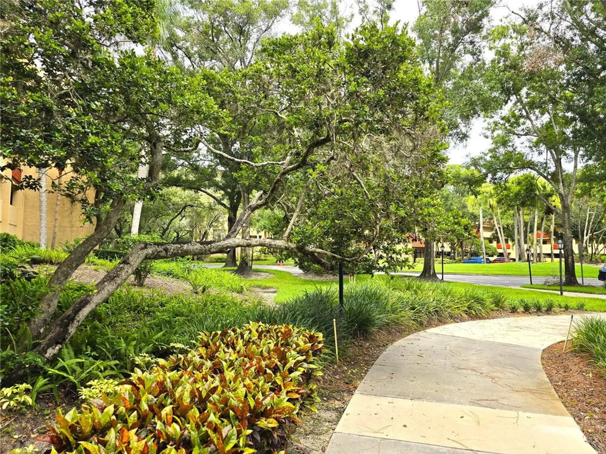 Property Slideshow image 35 of 65 | 3076 eastland blvd 106, Clearwater, FL, 33761