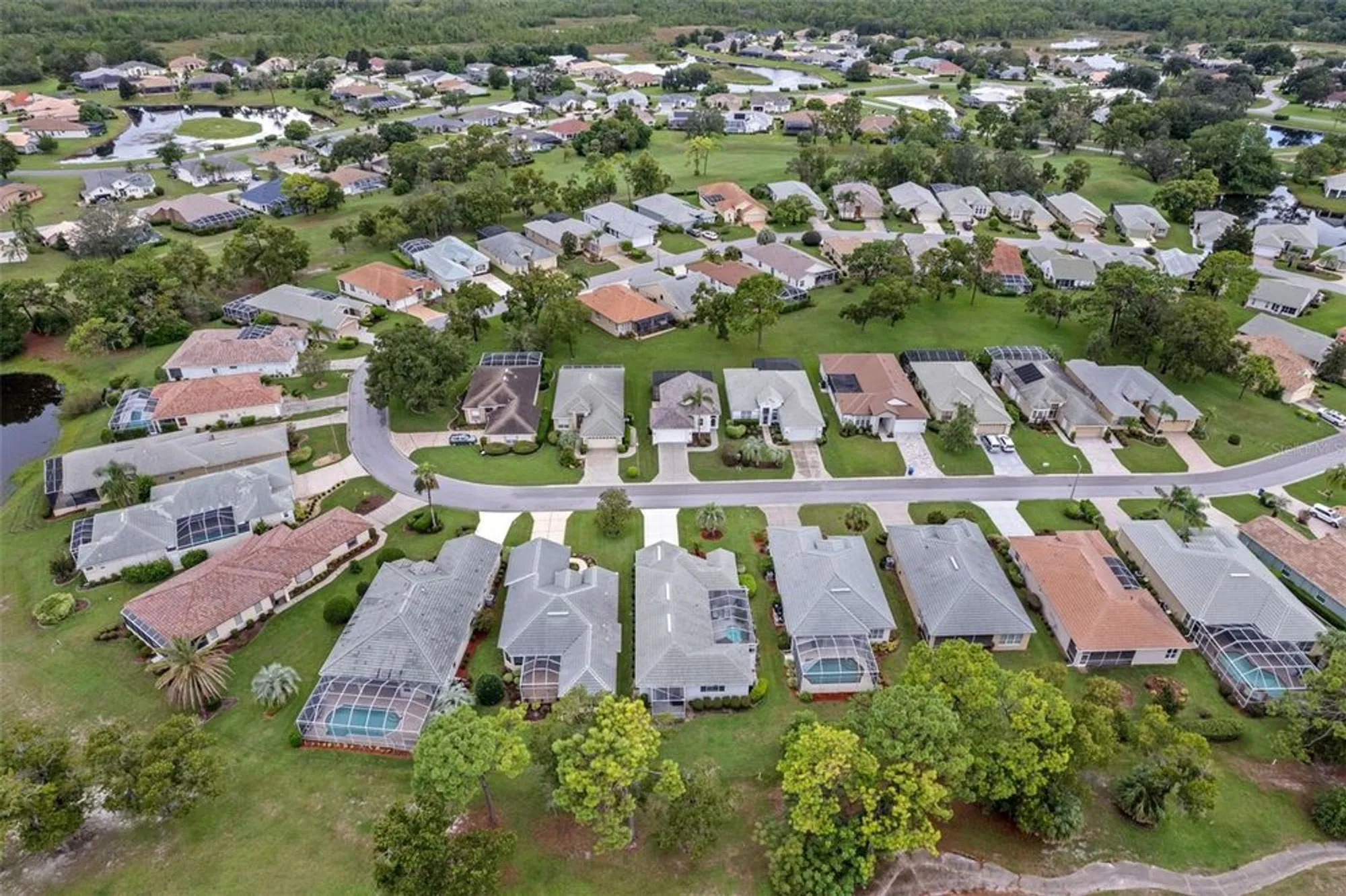 Property Slideshow image 50 of 52 | 9171 penelope dr, Weeki Wachee, FL, 34613