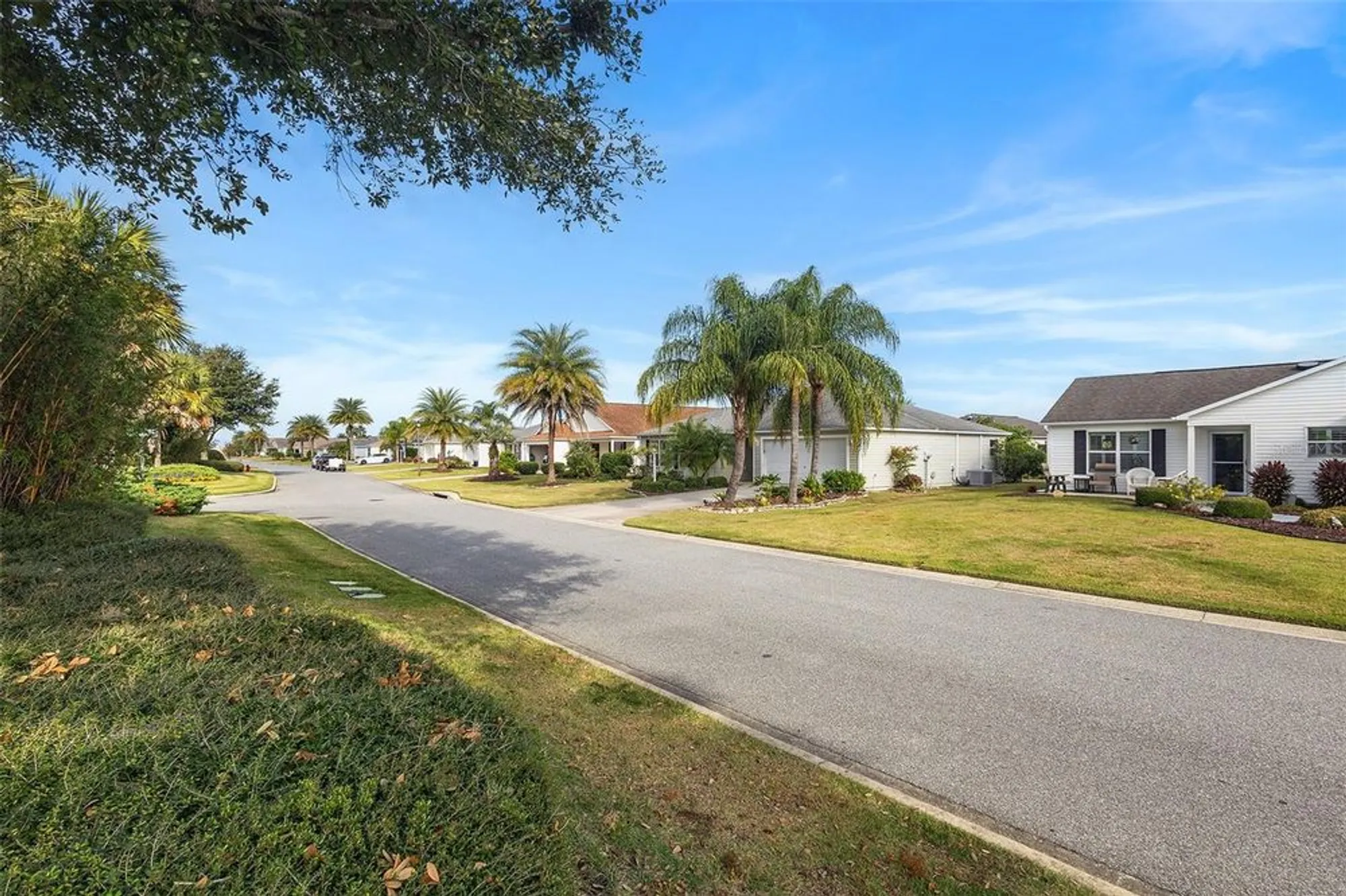 Property Slideshow image 40 of 43 | 1393 ducksbury st, The Villages, FL, 32163