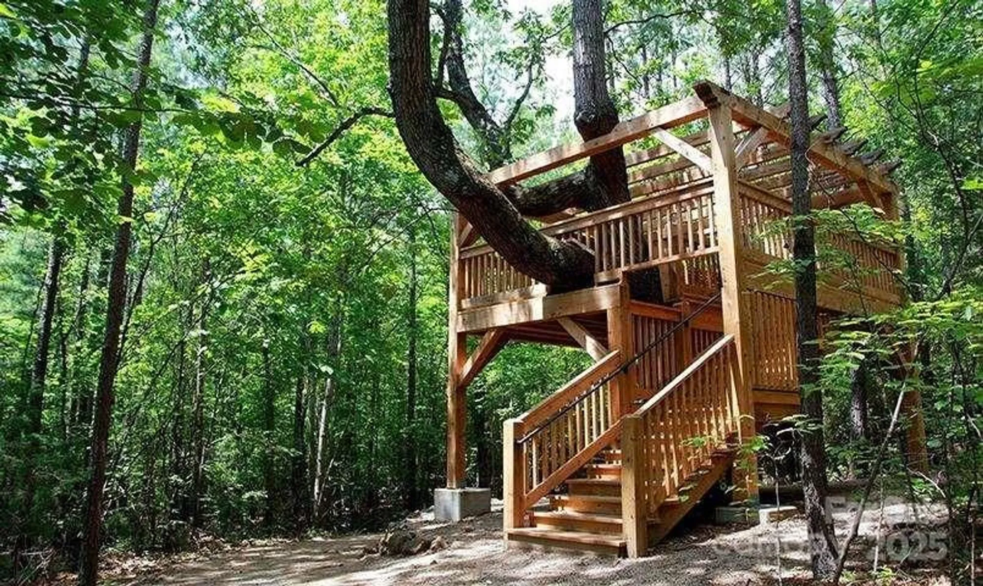 Property Slideshow image 47 of 48 | 6239 scuttle ln, Denver, NC, 28037