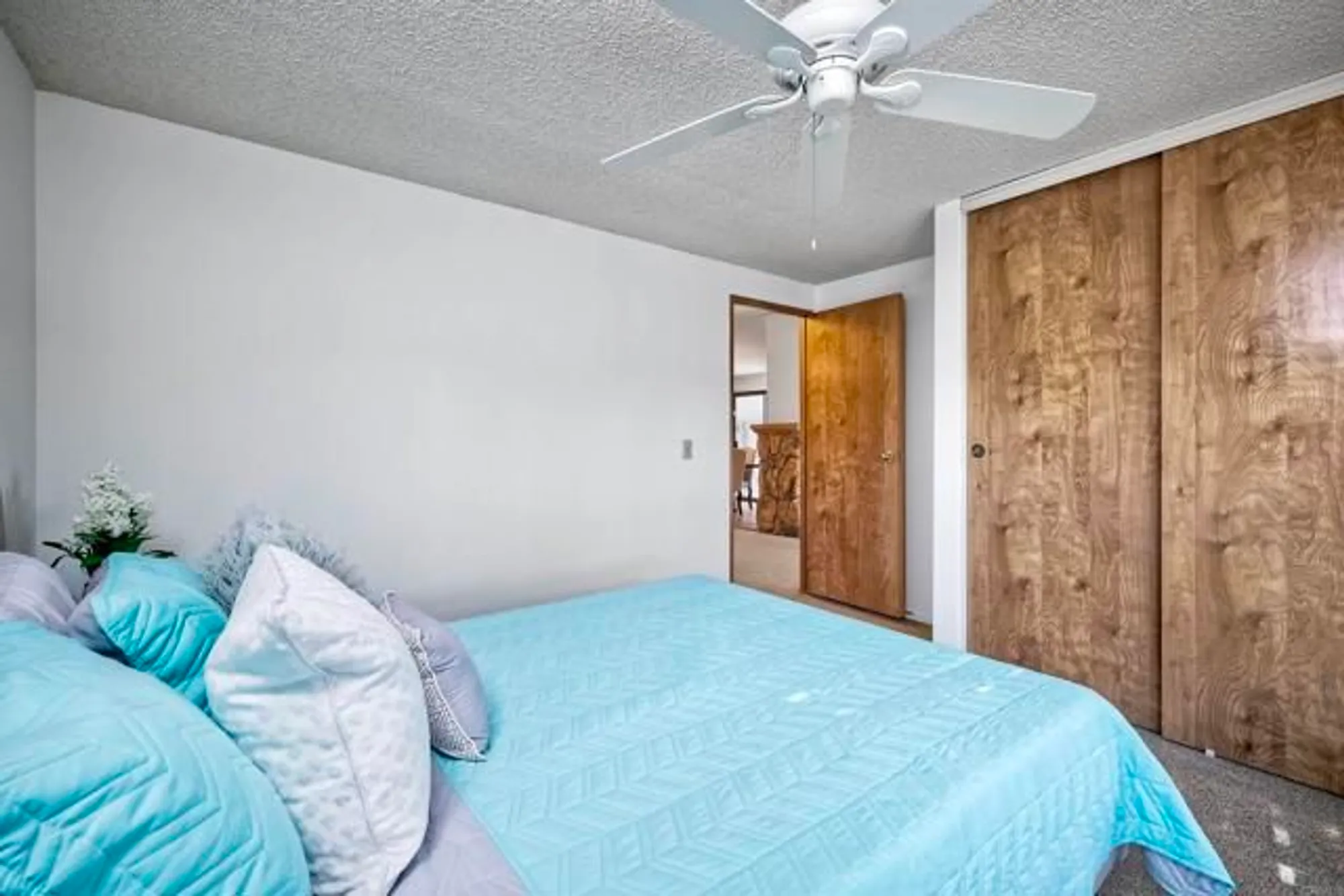 Property Slideshow image 18 of 42 | 1146 via santa paulo, Vista, CA, 92081