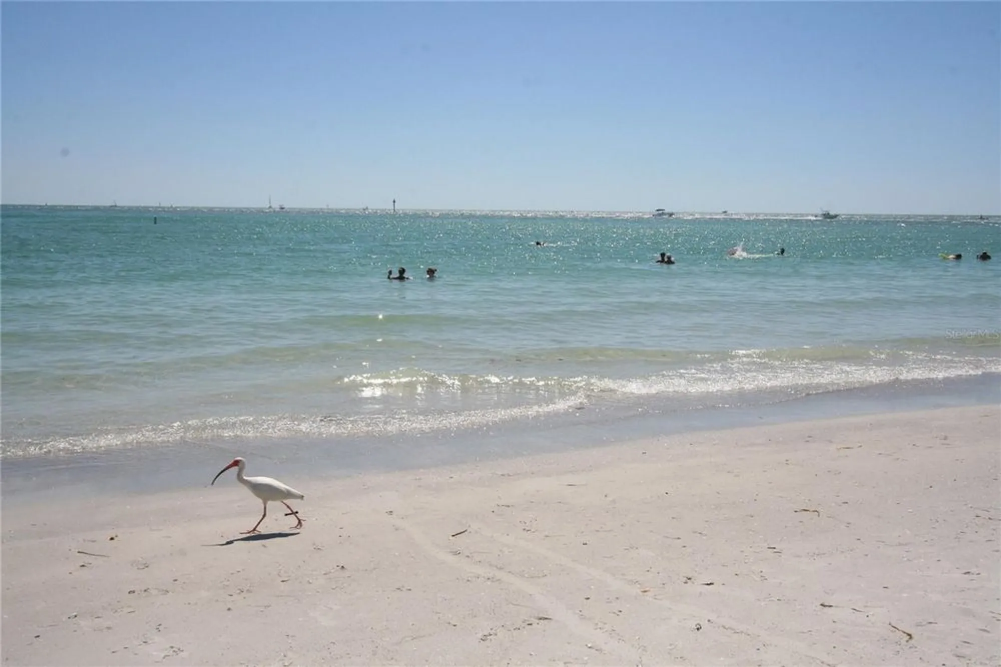 Property Slideshow image 64 of 65 | 3076 eastland blvd 106, Clearwater, FL, 33761