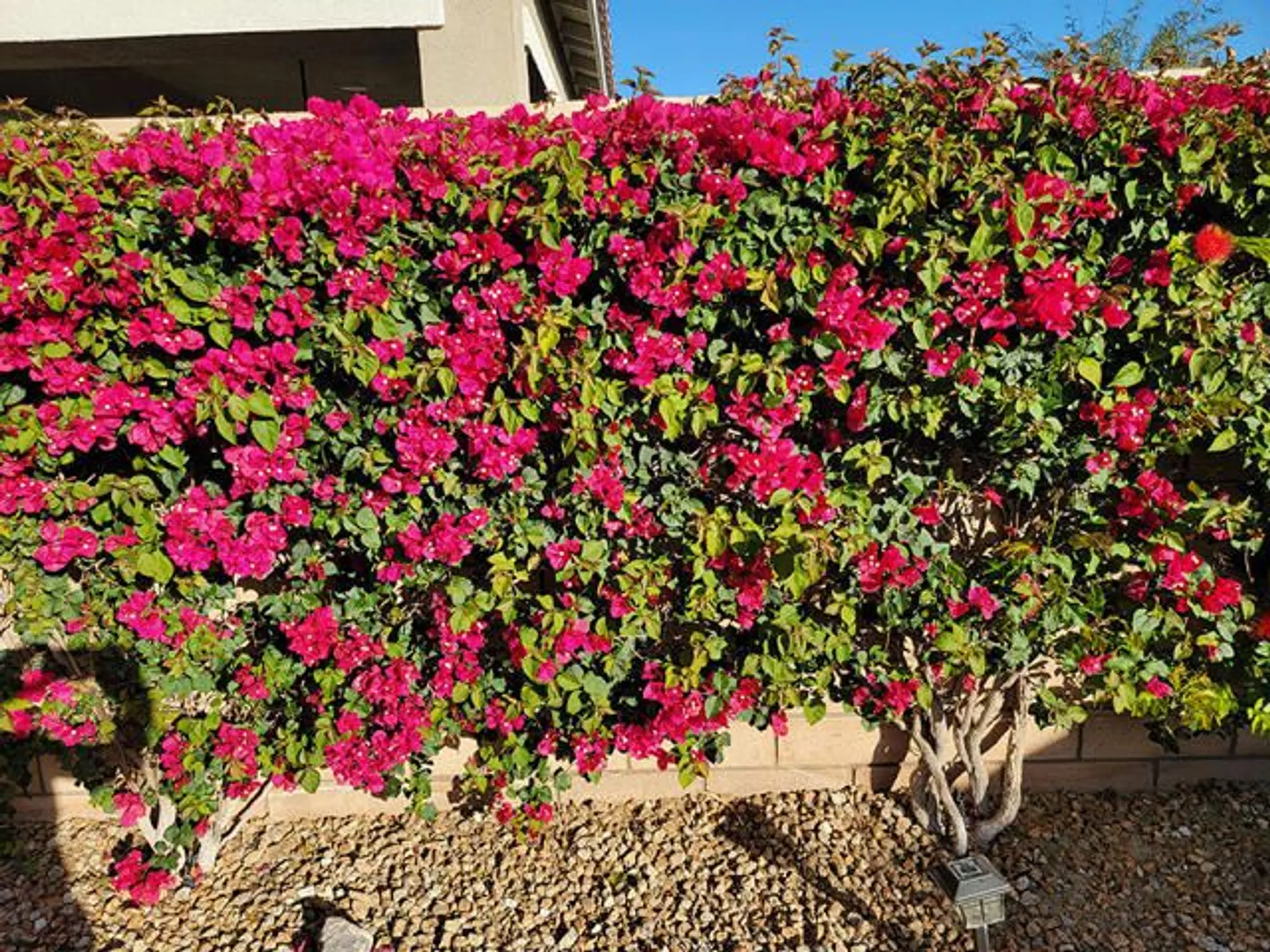 Property Slideshow image 37 of 57 | 85549 treviso dr, Indio, CA, 92203