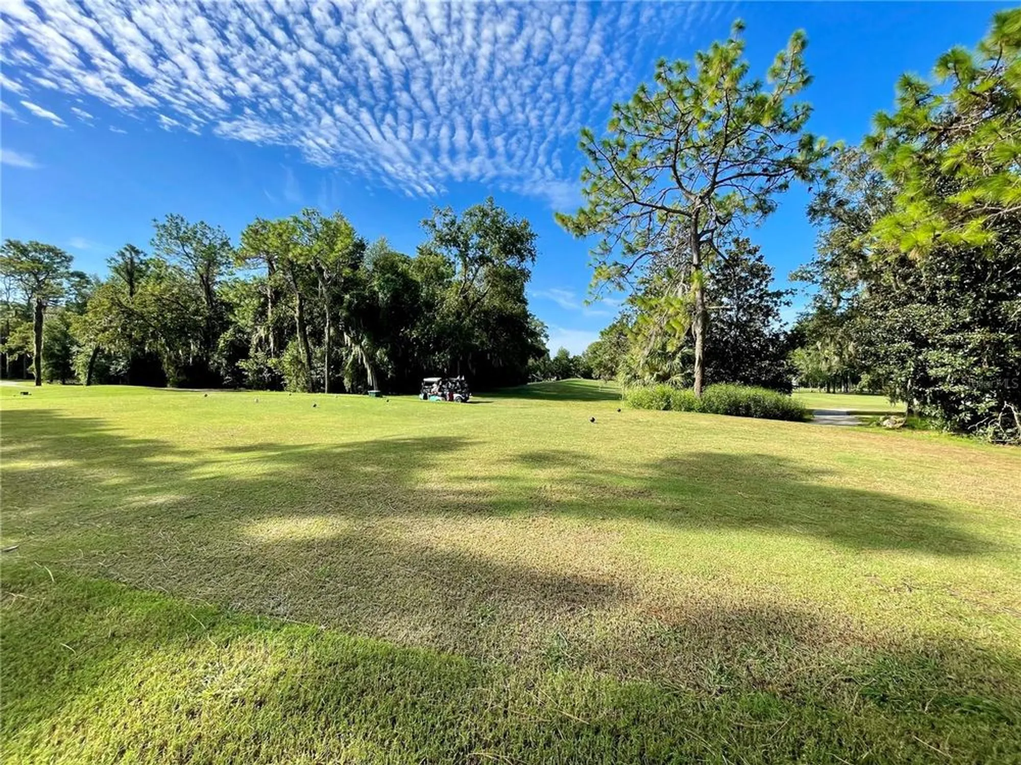 Property Slideshow image 54 of 66 | 11566 sw 69th cir, Ocala, FL, 34476