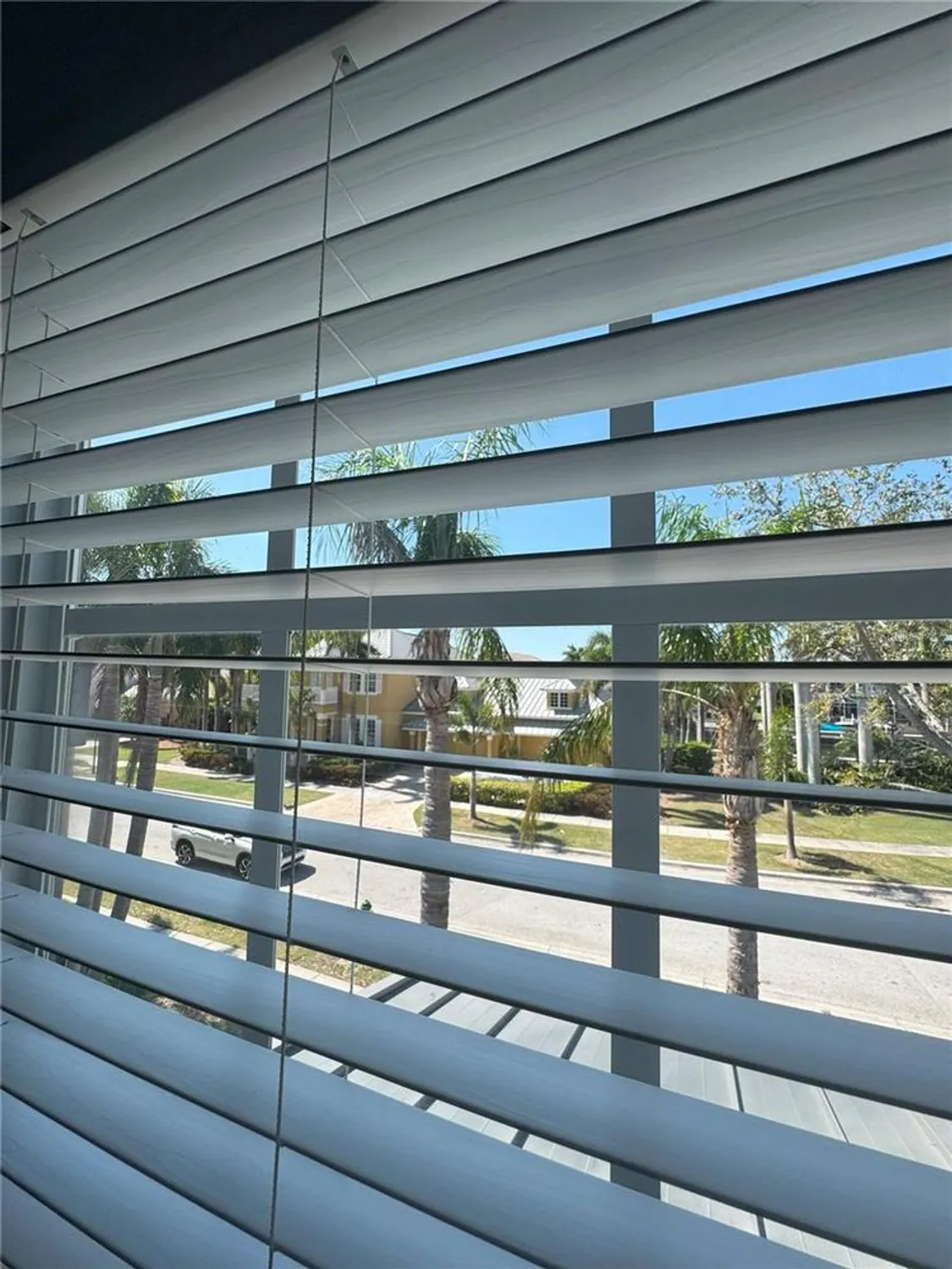 Property Slideshow image 75 of 100 | 625 mirabay blvd, Apollo Beach, FL, 33572