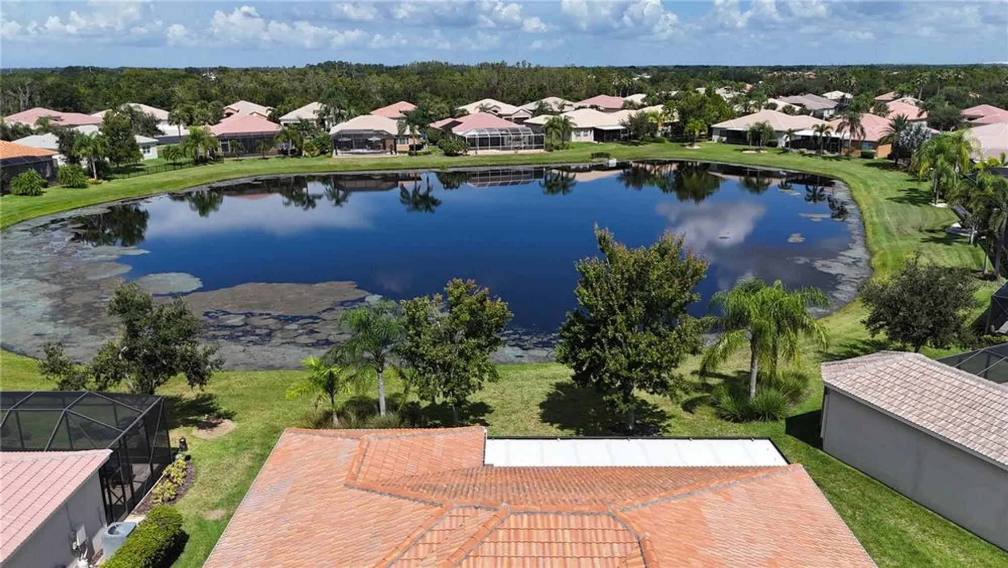 Property Slideshow image 58 of 74 | 16244 diamond bay dr, Wimauma, FL, 33598