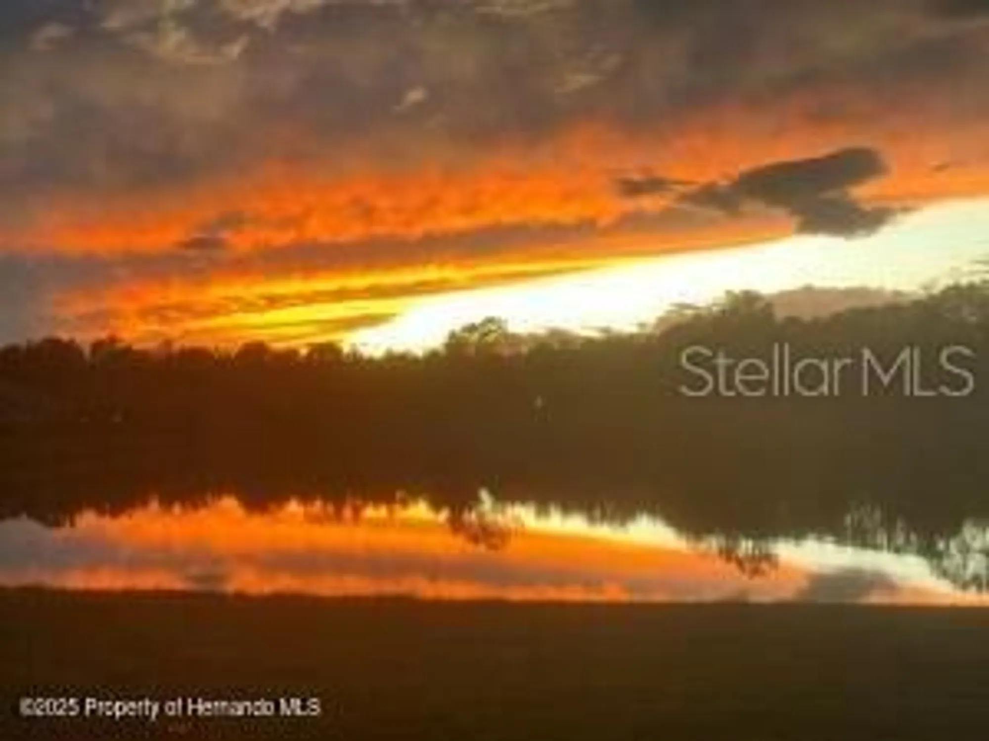 Property Slideshow image 46 of 61 | 5149 jennings trl, Brooksville, FL, 34601