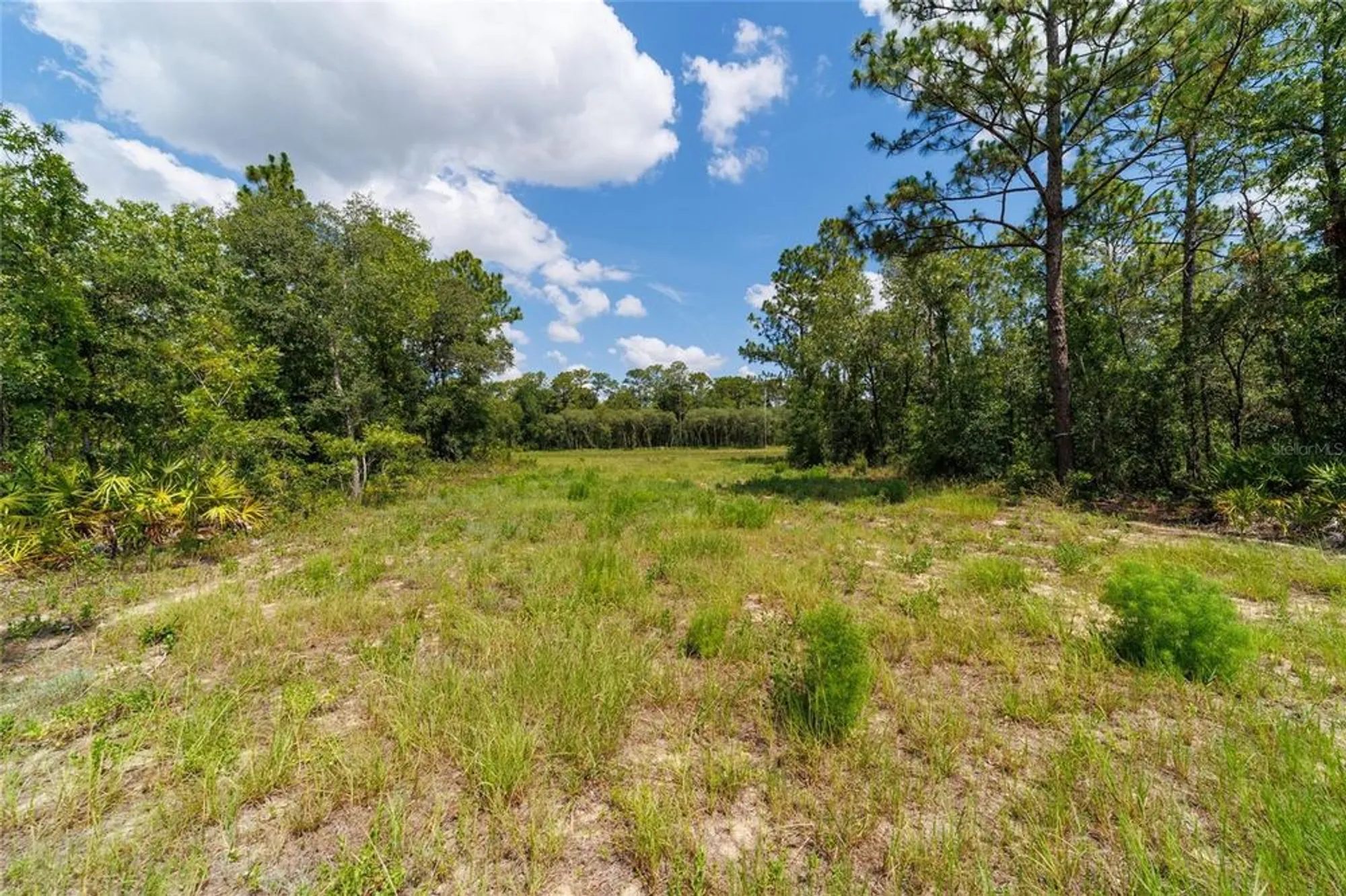 Property Slideshow image 44 of 45 | 9746 sw 108th terrace rd, Ocala, FL, 34481