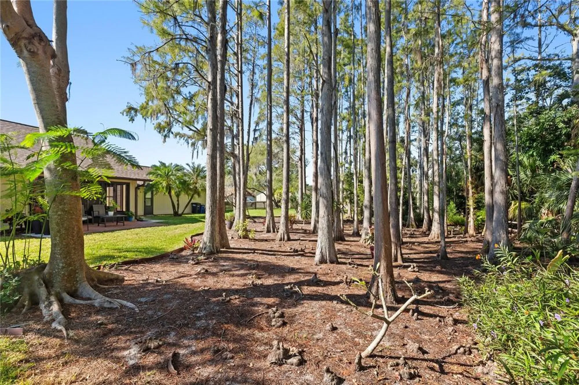 Property Slideshow image 48 of 54 | 2216 sequoia dr, Clearwater, FL, 33763