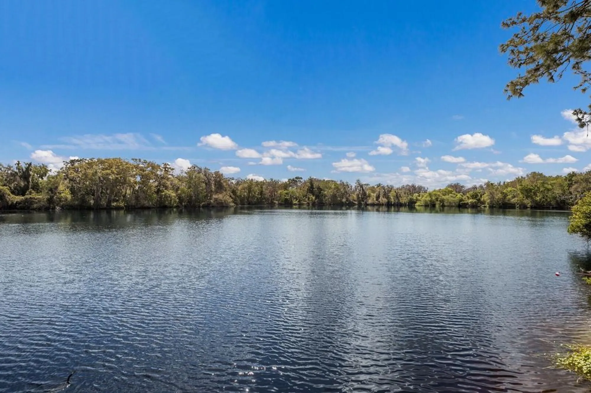 Property Slideshow image 46 of 50 | 5508 gardens dr, Sarasota, FL, 34243