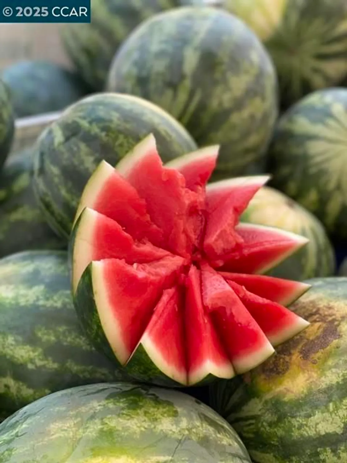 Property Slideshow image 49 of 54 | 3434 tice creek dr 5, Walnut Creek, CA, 94595