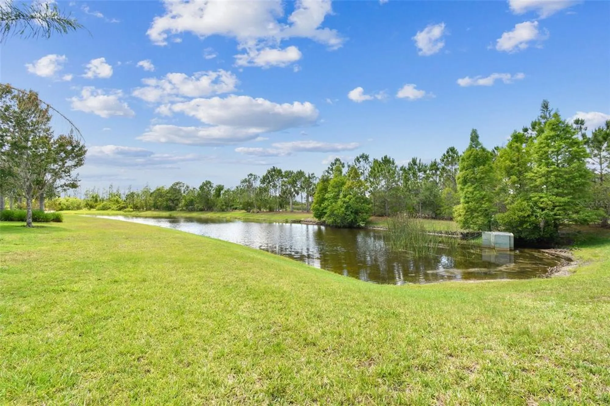 Property Slideshow image 54 of 100 | 16101 cape coral dr, Wimauma, FL, 33598