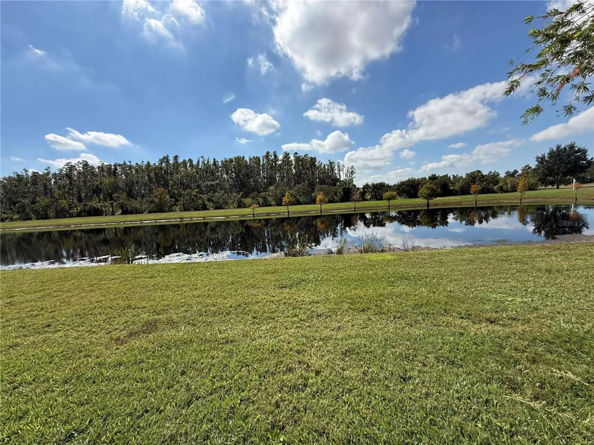 Property Slideshow image 15 of 18 | 15858 aurora lake cir, Wimauma, FL, 33598