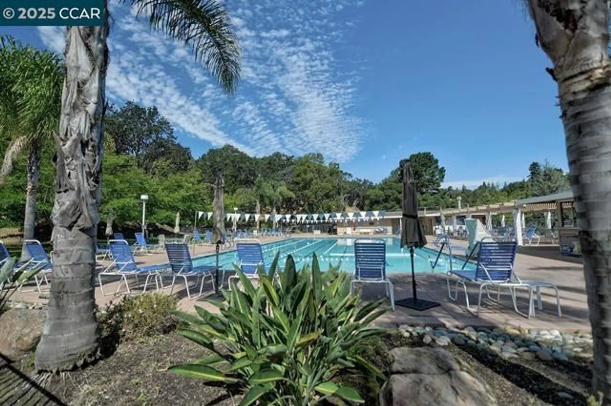 Property Slideshow image 38 of 51 | 2601 pine knoll dr 8, Walnut Creek, CA, 94595