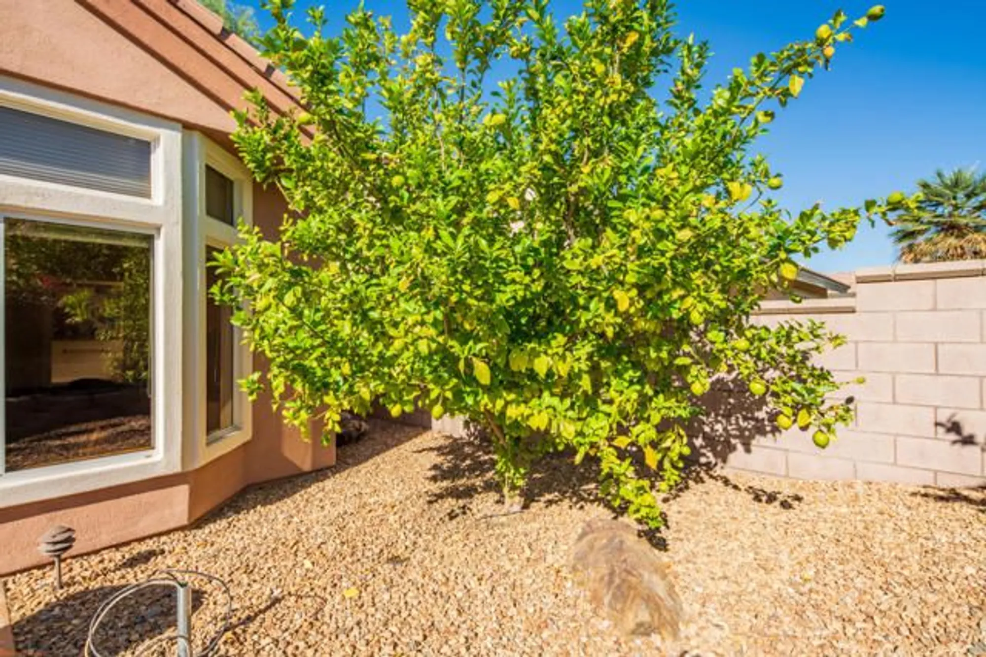 Property Slideshow image 34 of 48 | 38608 bent palm dr, Palm Desert, CA, 92211