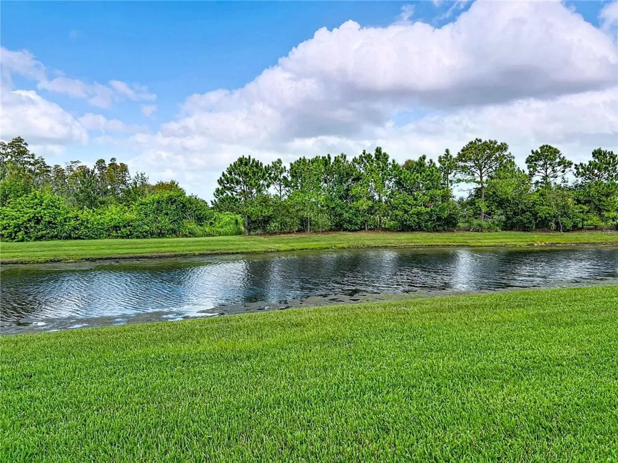 Property Slideshow image 4 of 80 | 16113 cape coral dr, Wimauma, FL, 33598