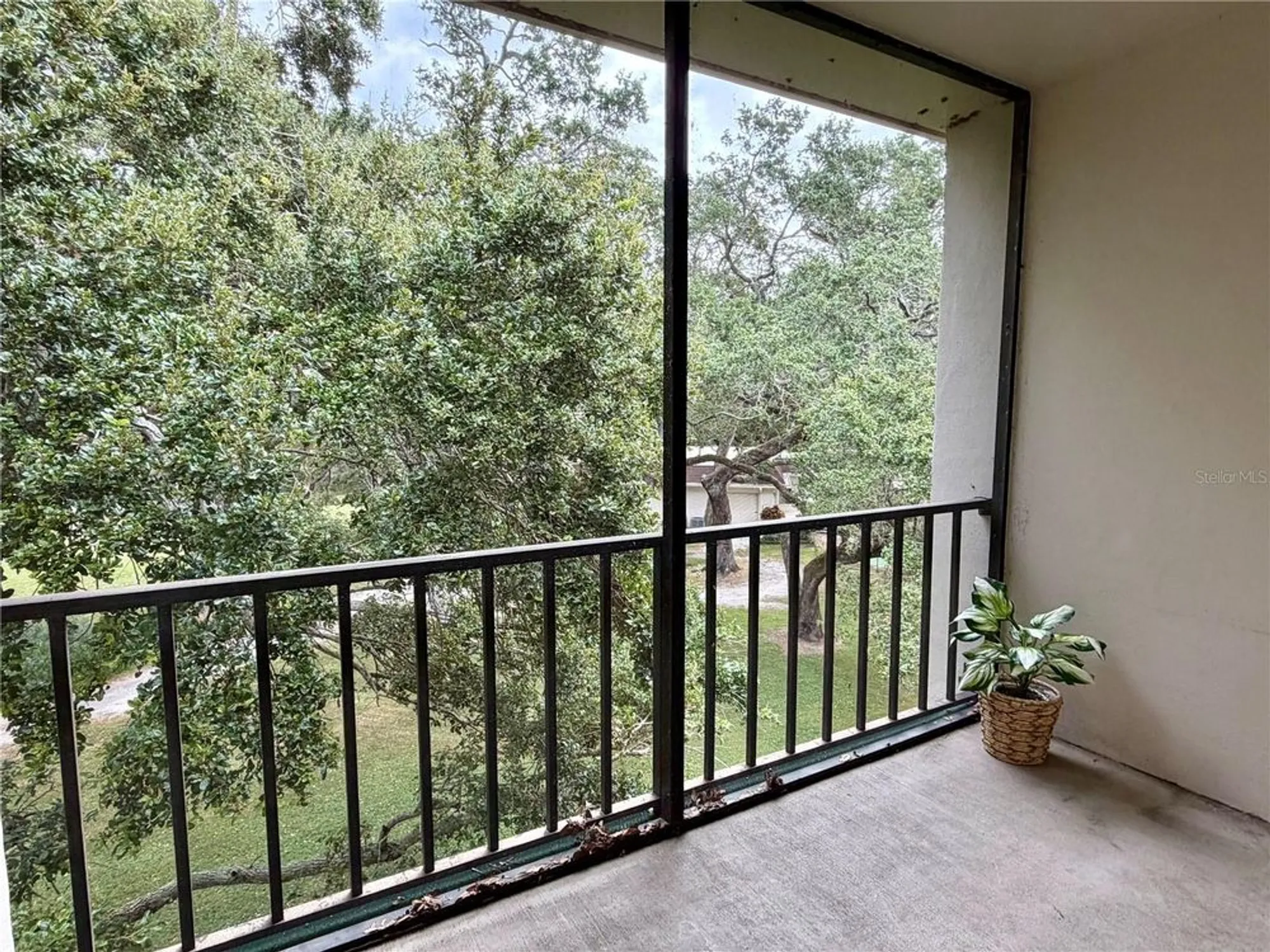 Property Slideshow image 14 of 34 | 870 virginia st apt 302, Dunedin, FL, 34698