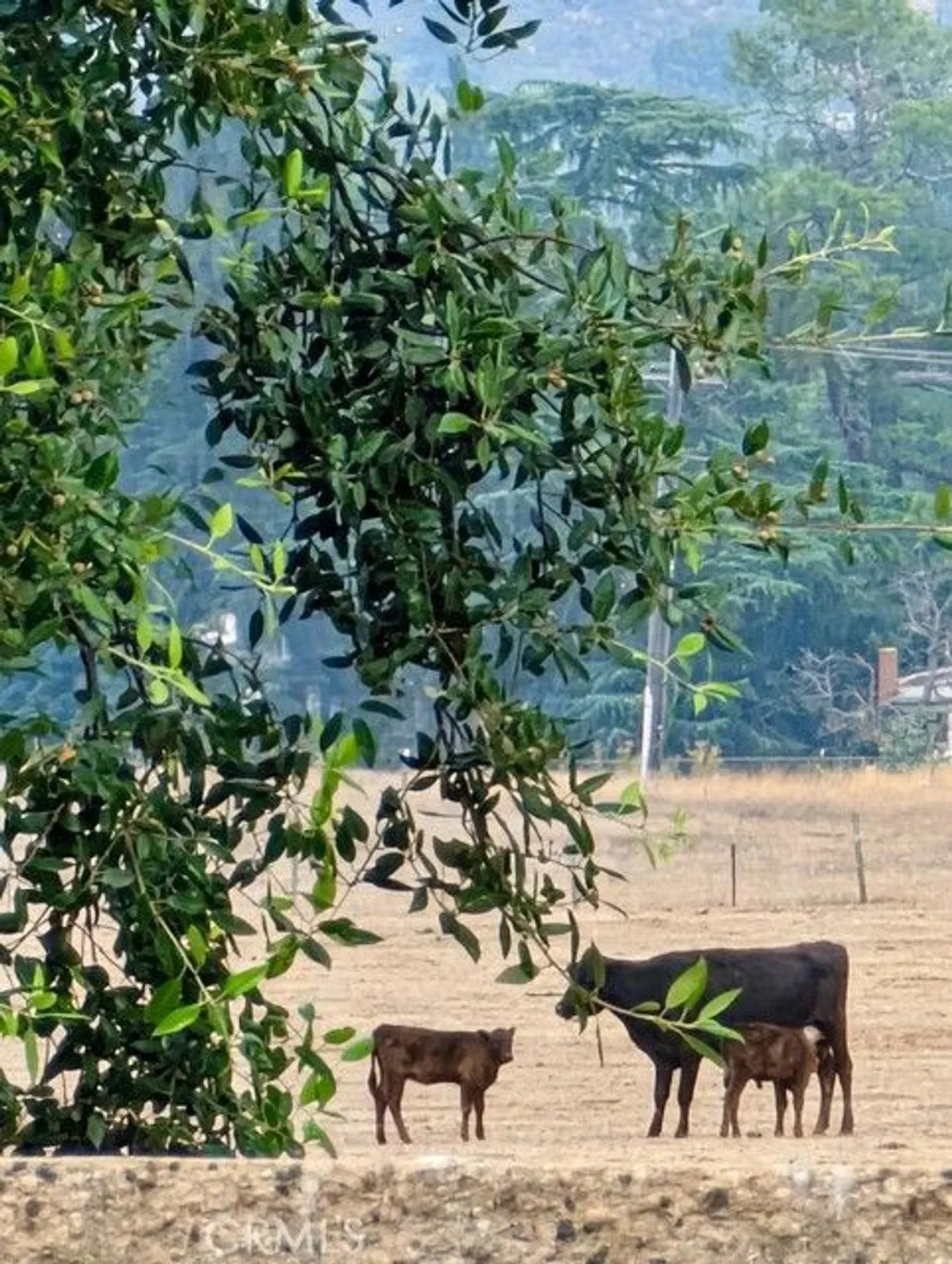 Property Slideshow image 61 of 61 | 860 annandale rd, Beaumont, CA, 92223