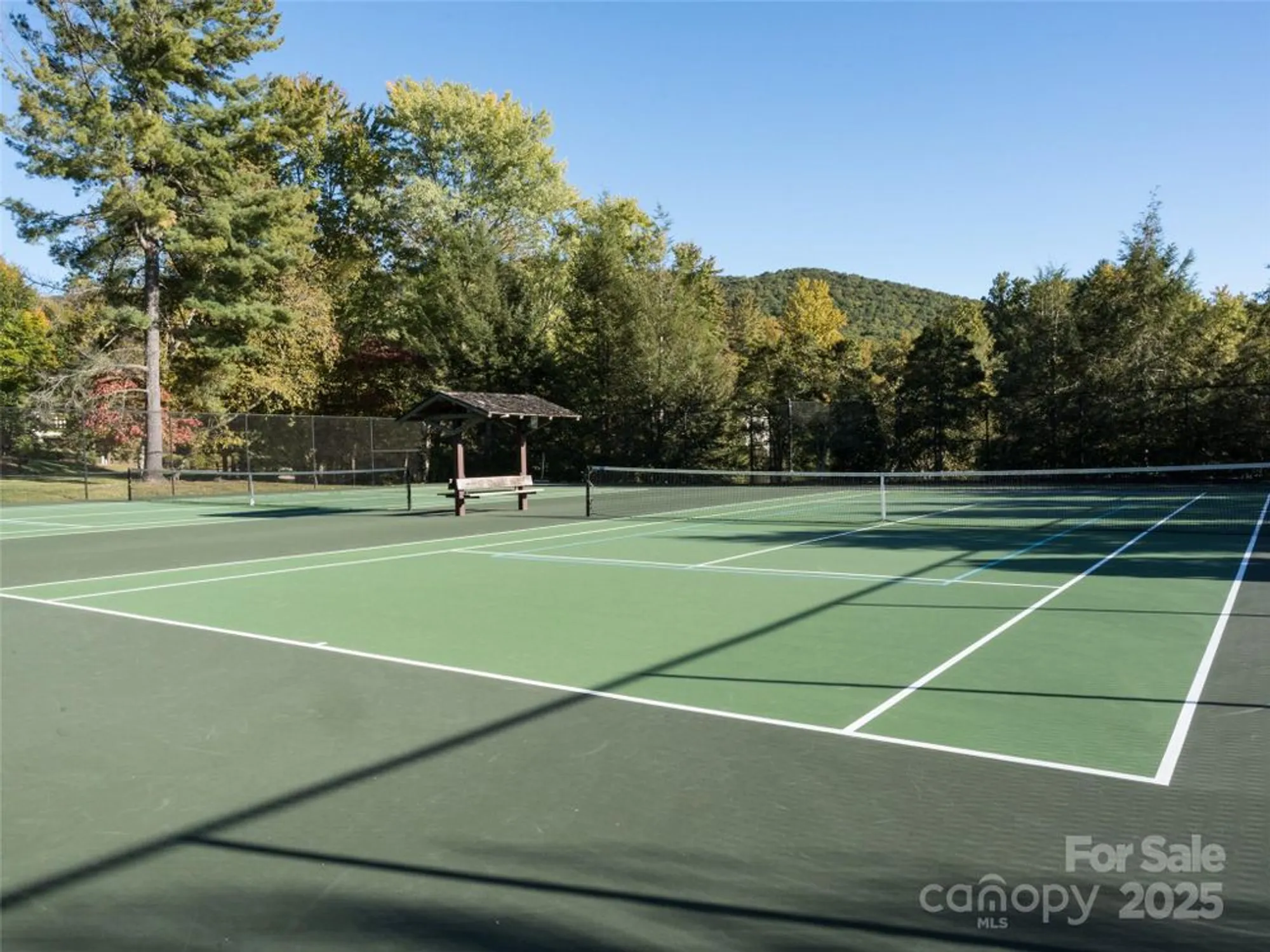 Property Slideshow image 44 of 48 | 588 welsh partridge cir, Biltmore Lake, NC, 28715