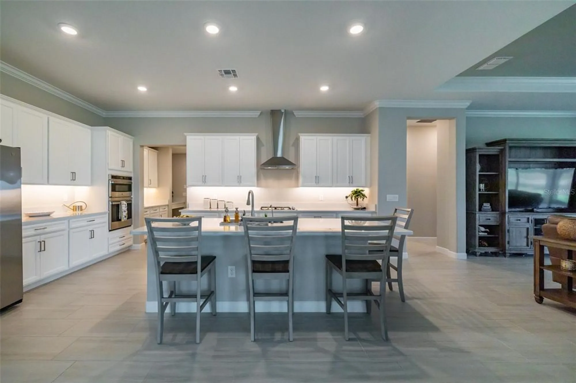 Property Slideshow image 9 of 80 | 5329 windy grove dr, Wimauma, FL, 33598