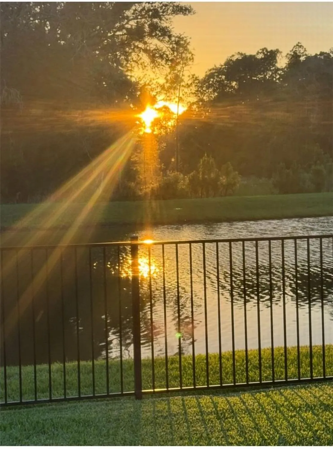 Property Slideshow image 31 of 32 | 236 caryota ct, New Smyrna Beach, FL, 32168