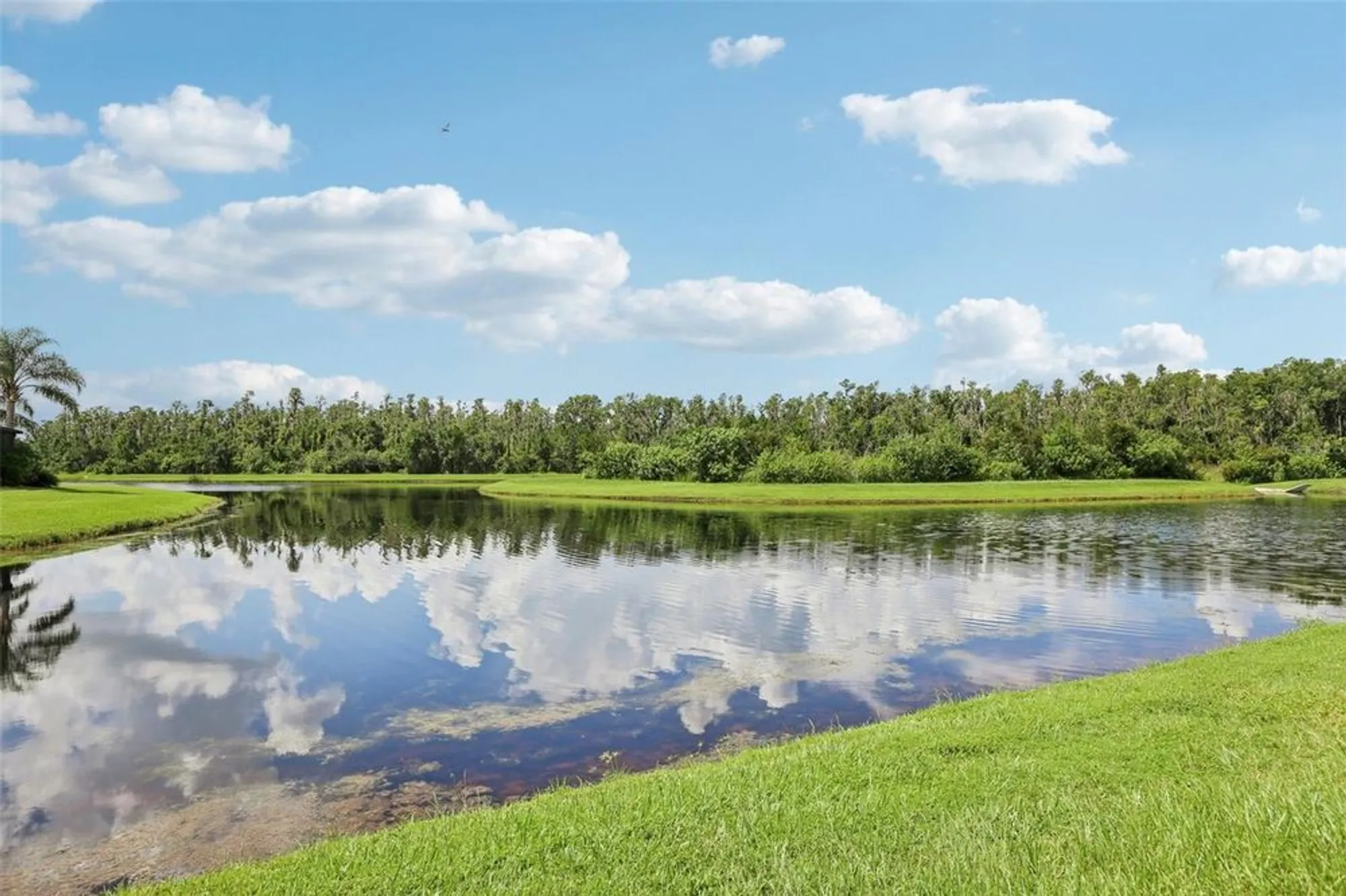 Property Slideshow image 33 of 73 | 15820 aurora lake cir, Wimauma, FL, 33598