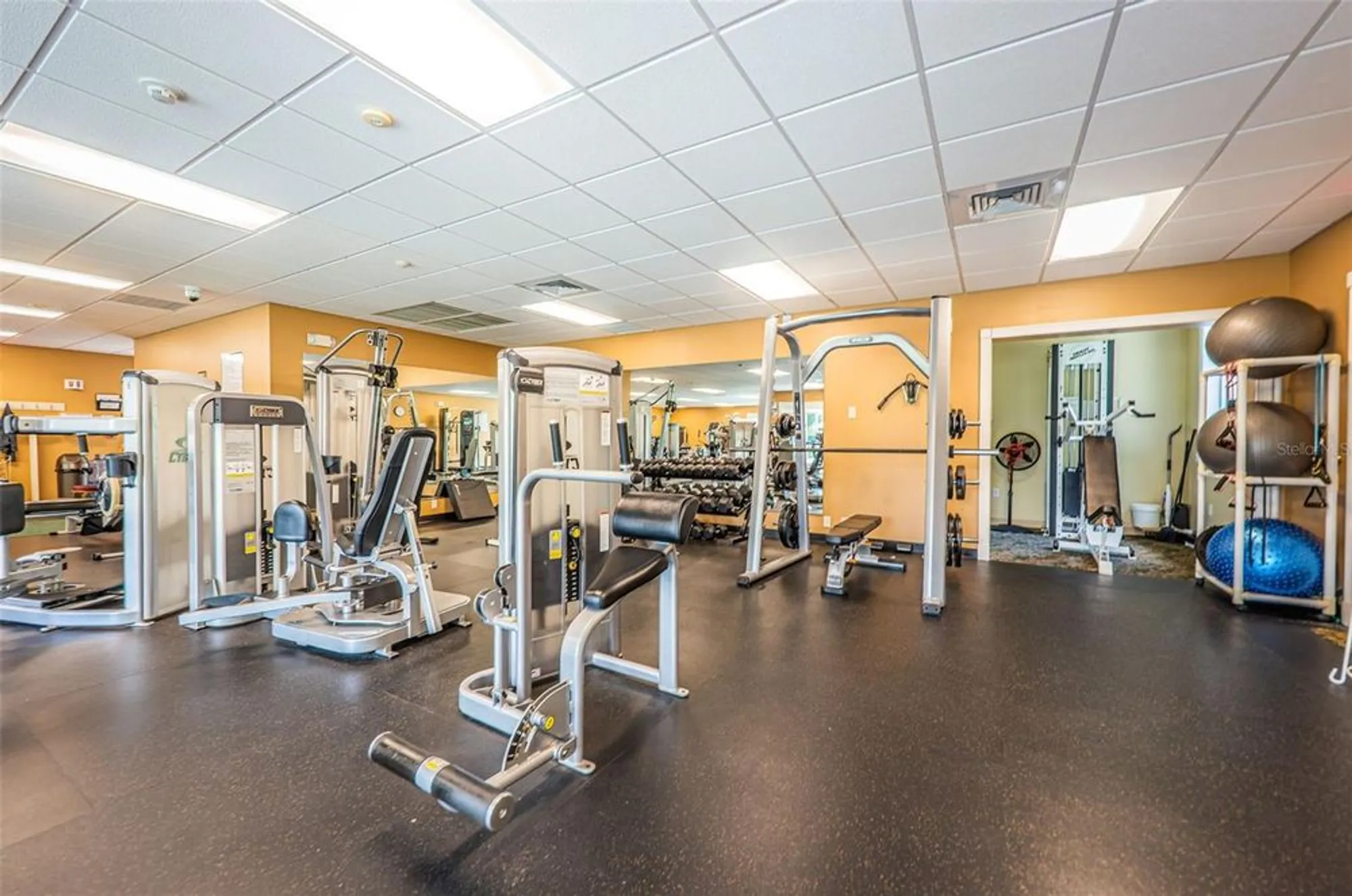 Property Slideshow image 84 of 100 | 1136 almondwood dr, Trinity, FL, 34655