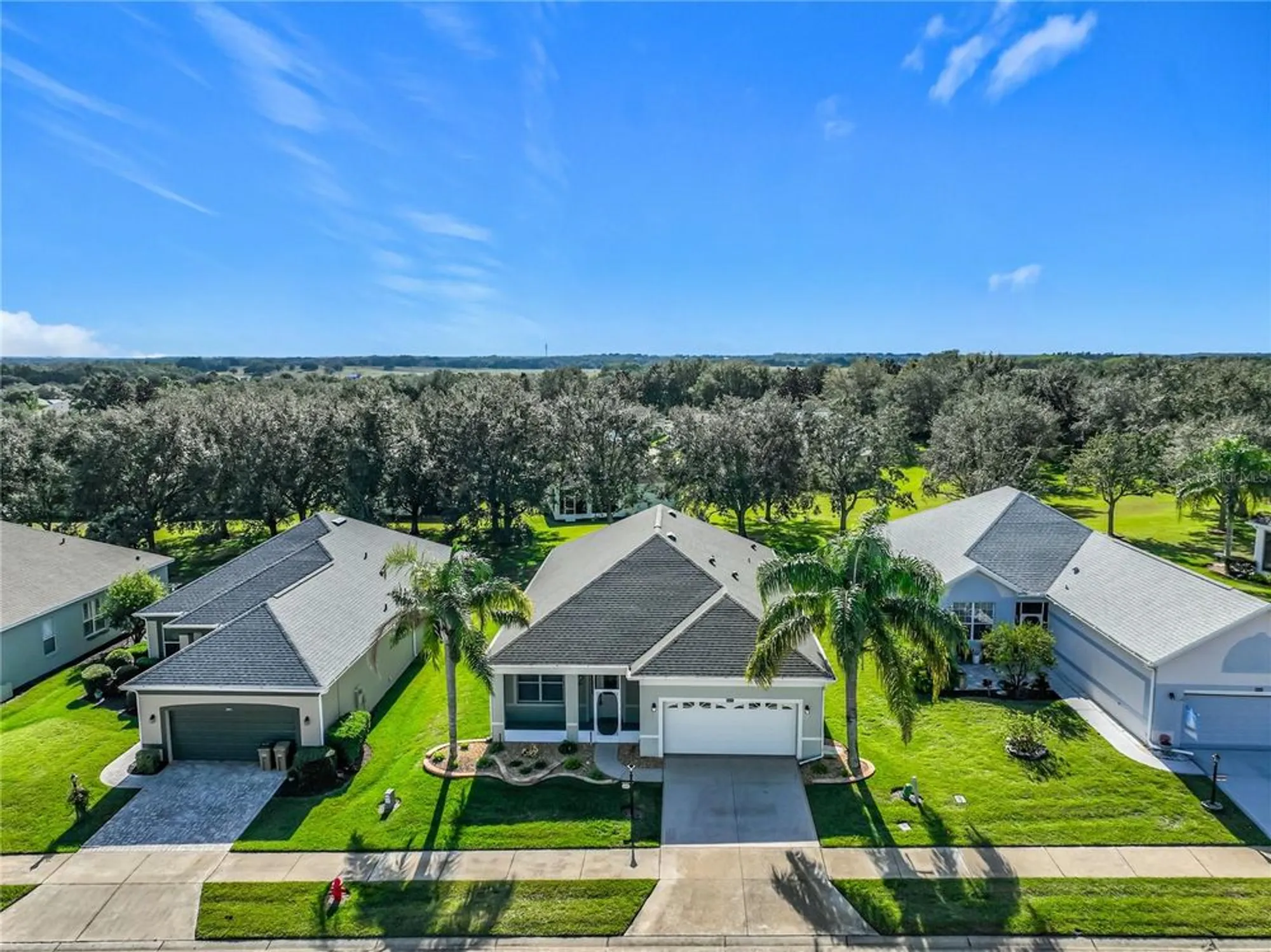 Property Slideshow image 51 of 52 | 3605 mount hope loop, Leesburg, FL, 34748