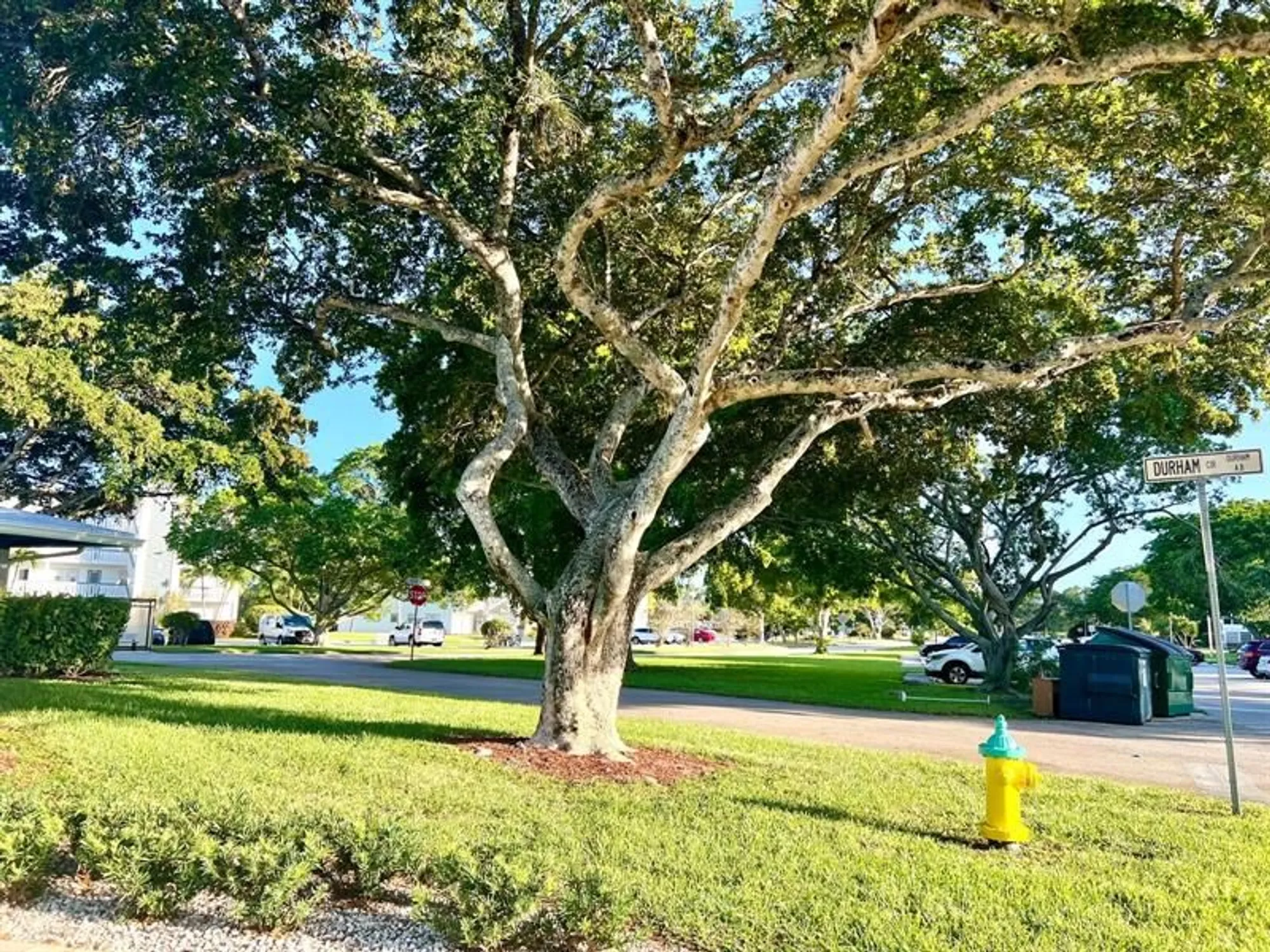 Property Slideshow image 32 of 47 | 418 durham n # 418, Deerfield Beach, FL, 33442