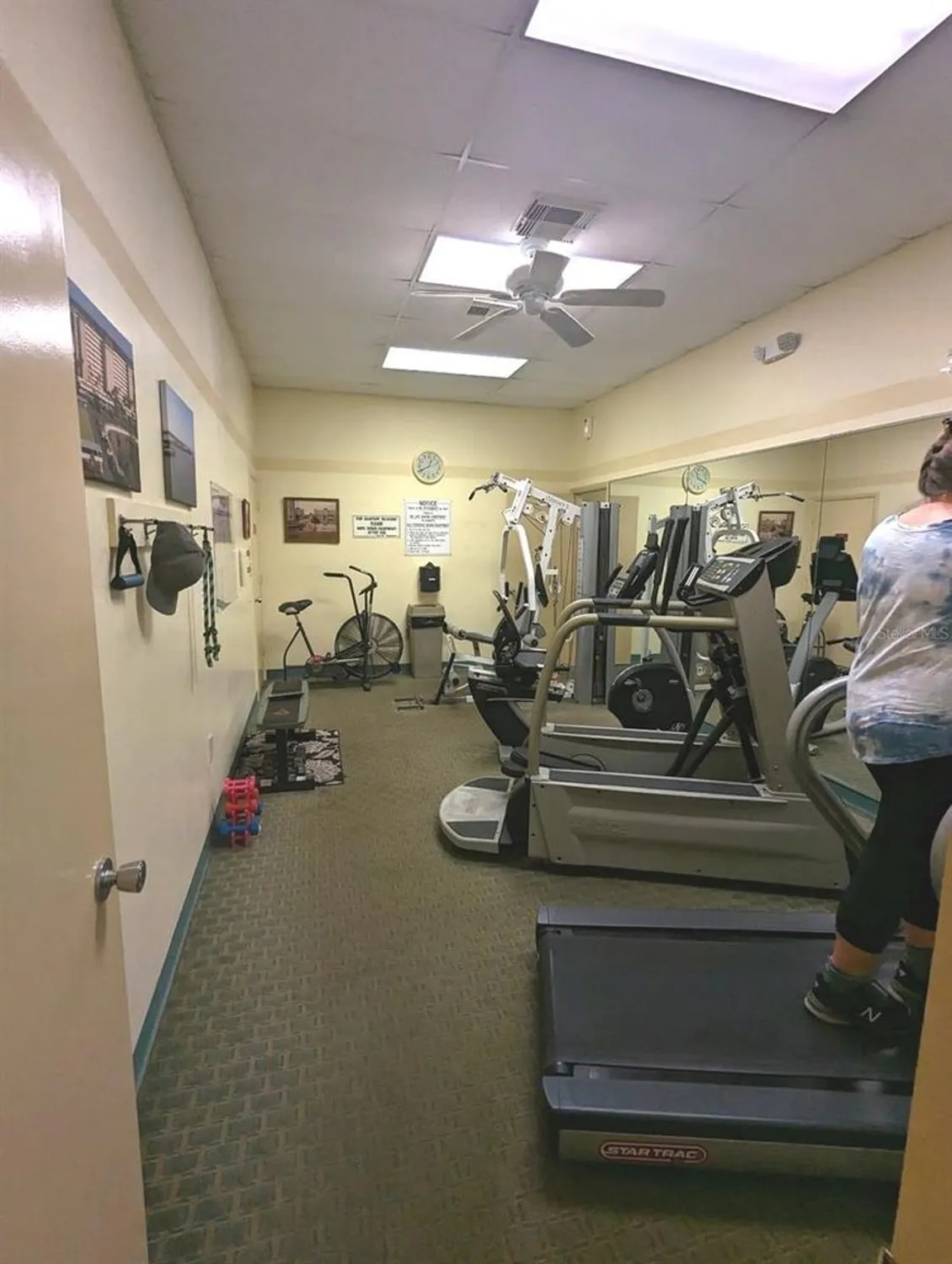 Property Slideshow image 61 of 61 | 4725 cove cir apt 908, St Petersburg, FL, 33708