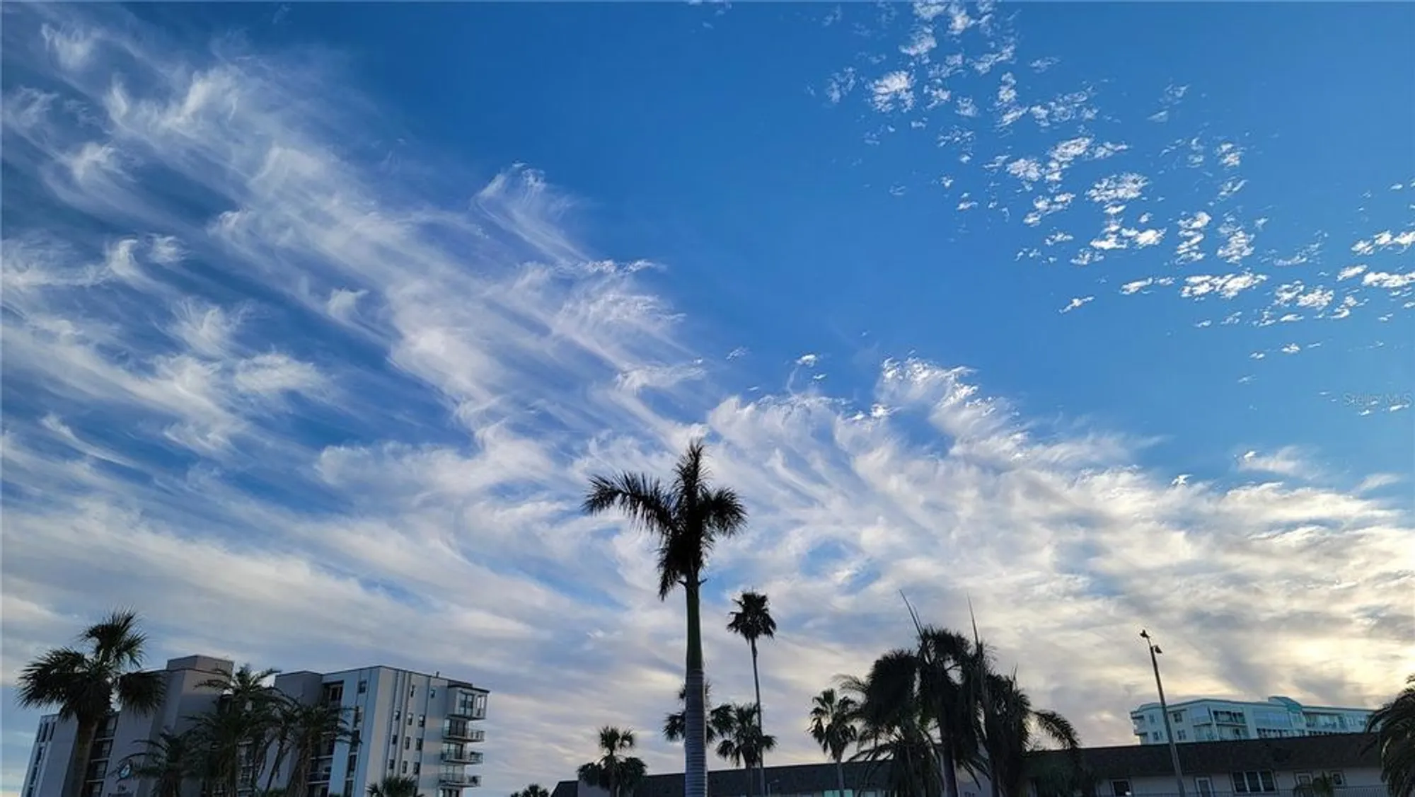 Property Slideshow image 95 of 100 | 7700 sun island dr 608, South Pasadena, FL, 33707