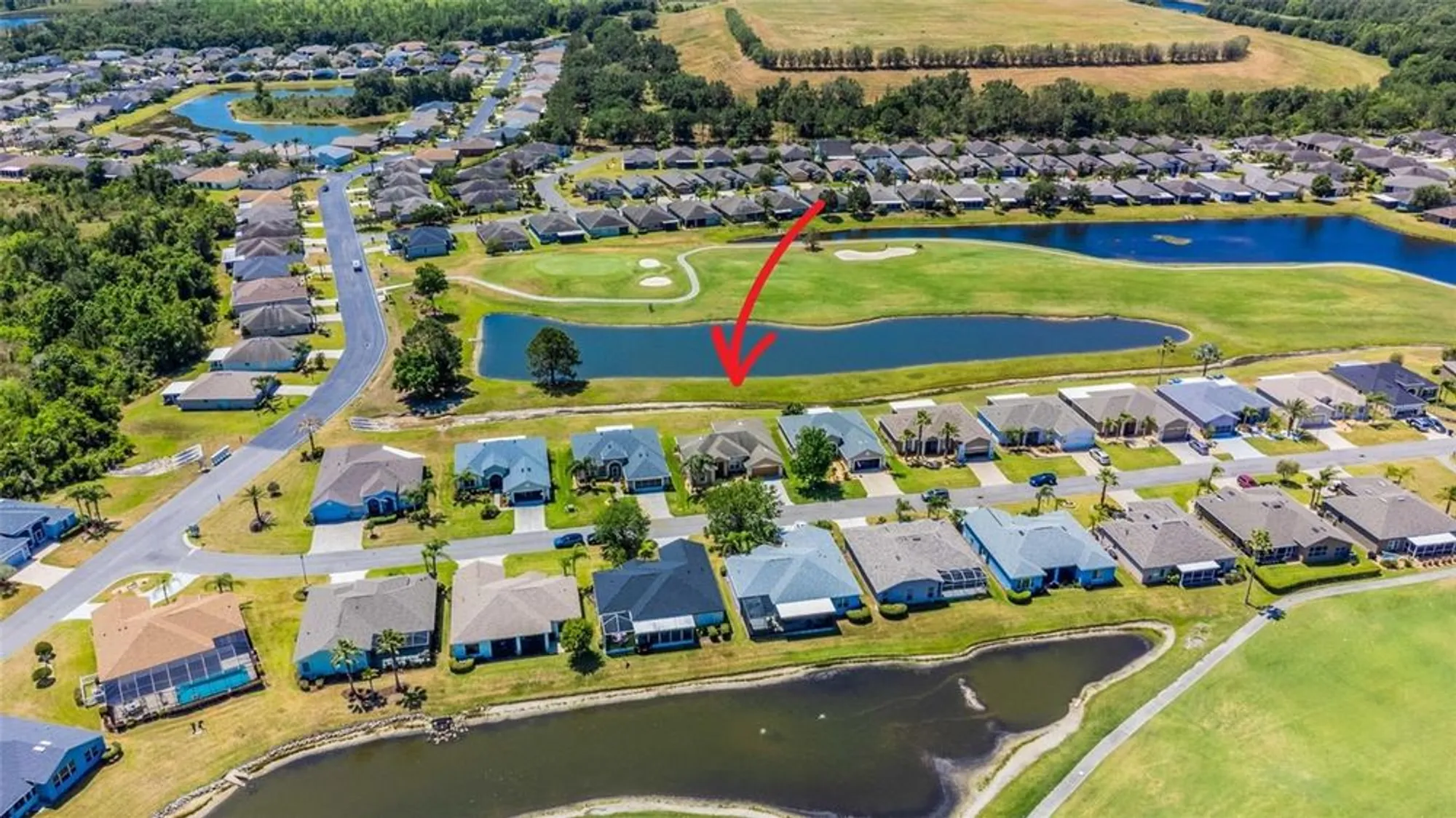 Property Slideshow image 96 of 96 | 29432 coharie loop, San Antonio, FL, 33576