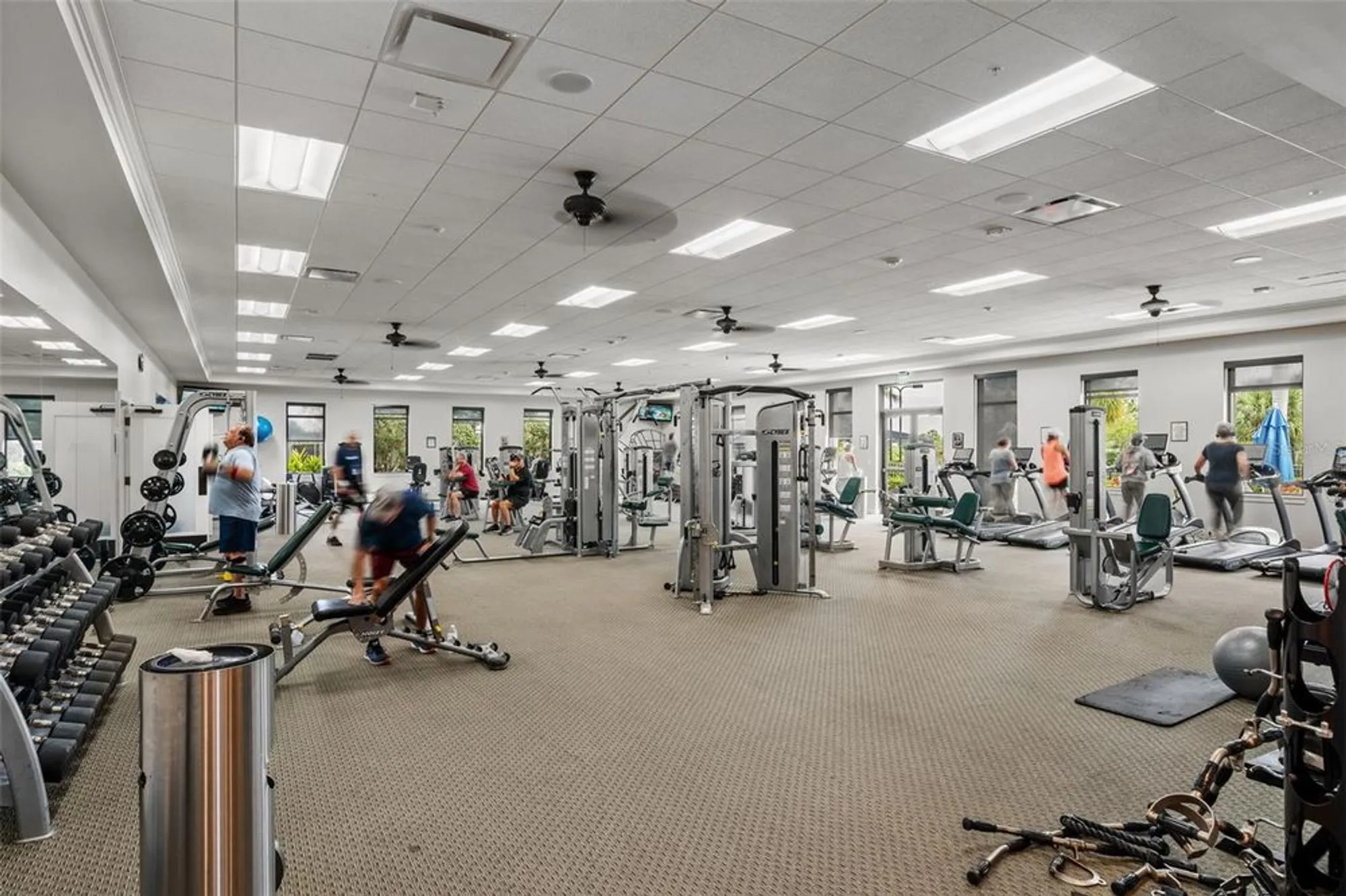 Property Slideshow image 68 of 86 | 10185 colubrina dr, Venice, FL, 34293