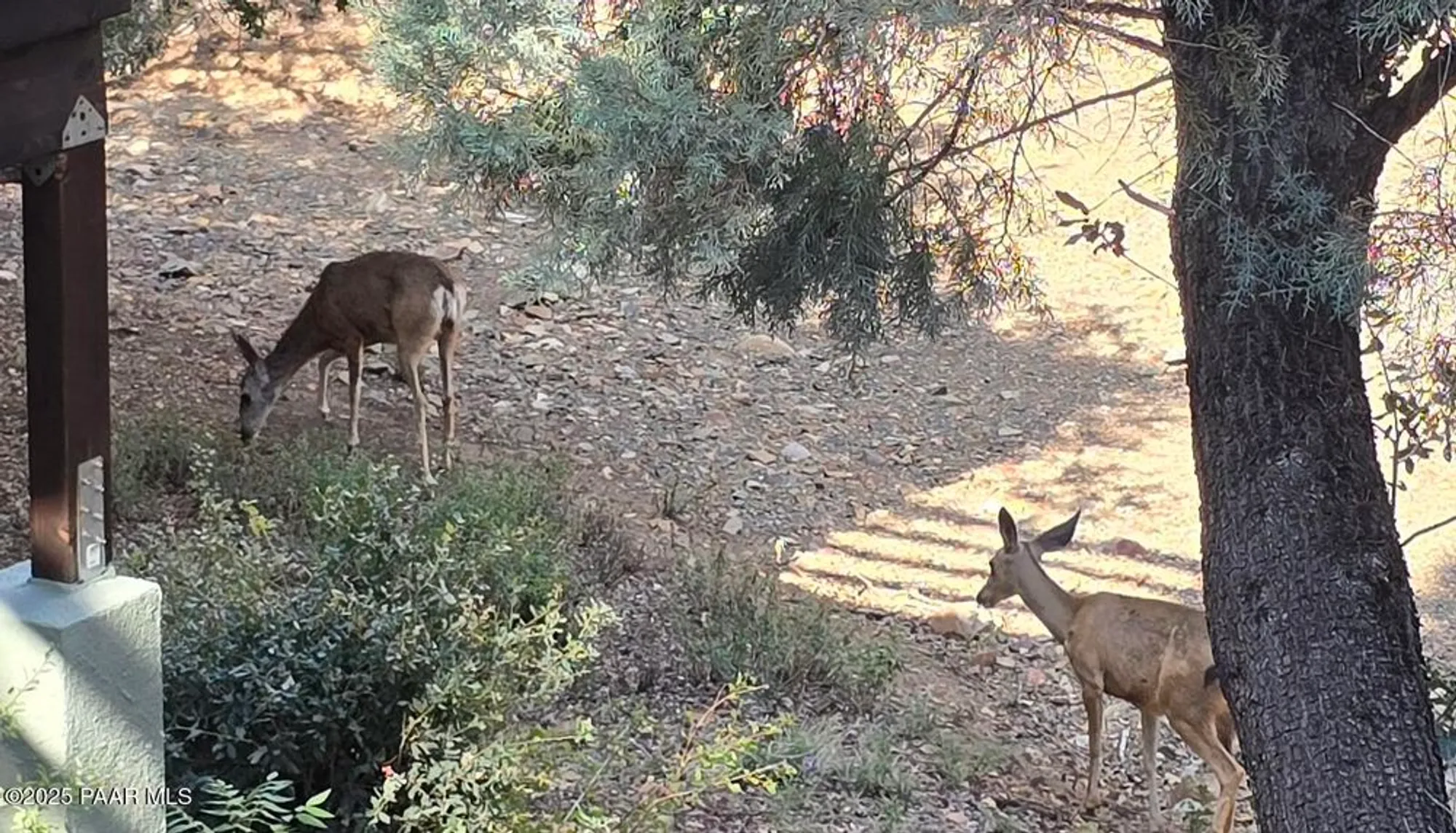 Property Slideshow image 34 of 39 | 4908 butterfly dr, Prescott, AZ, 86301