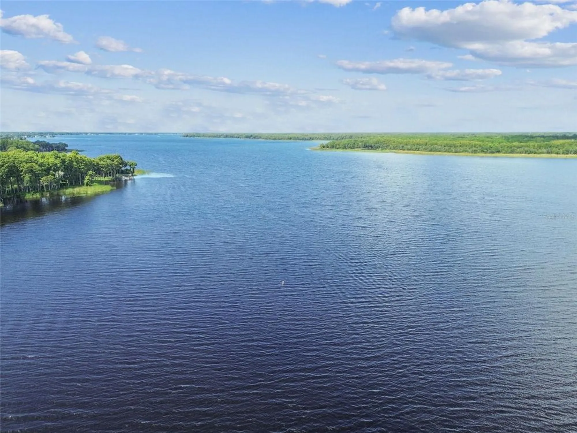 Property Slideshow image 86 of 99 | 2834 thistle ct, Palm Harbor, FL, 34684