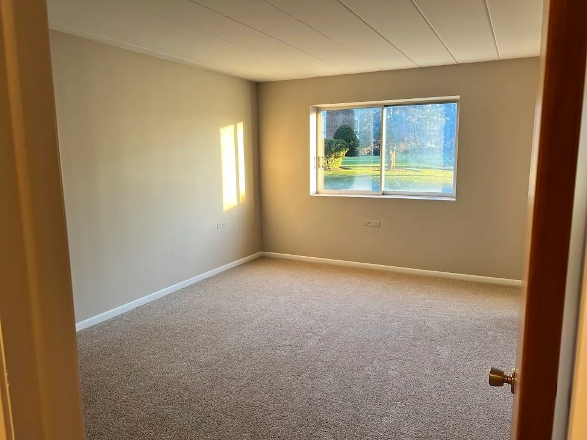 Property Slideshow image 9 of 20 | 5300 walnut ave 12b, Downers Grove, IL, 60515