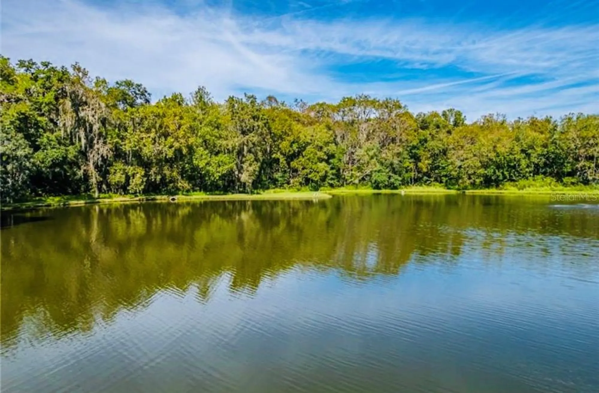 Property Slideshow image 43 of 59 | 1690 colonnades cir, Lakeland, FL, 33811
