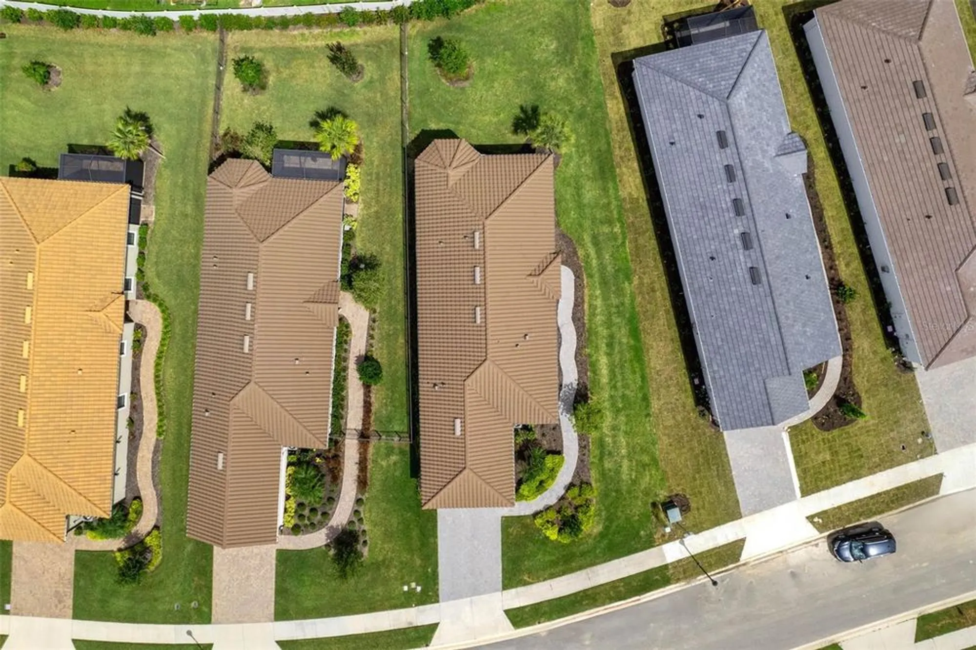 Property Slideshow image 56 of 62 | 4308 cairoli ct, Wesley Chapel, FL, 33543