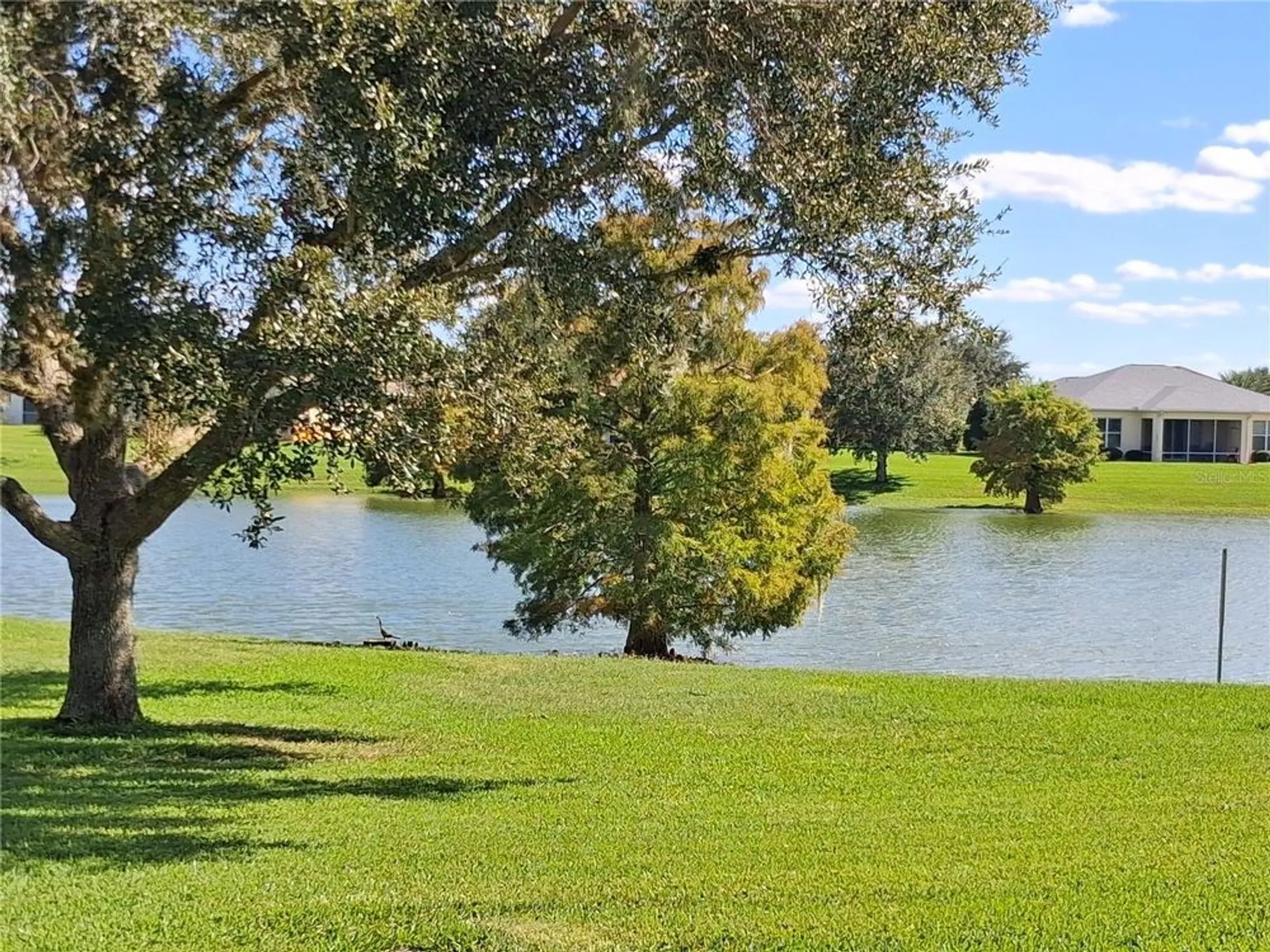 Property Slideshow image 34 of 35 | 10255 dory dr # 1, Oxford, FL, 34484