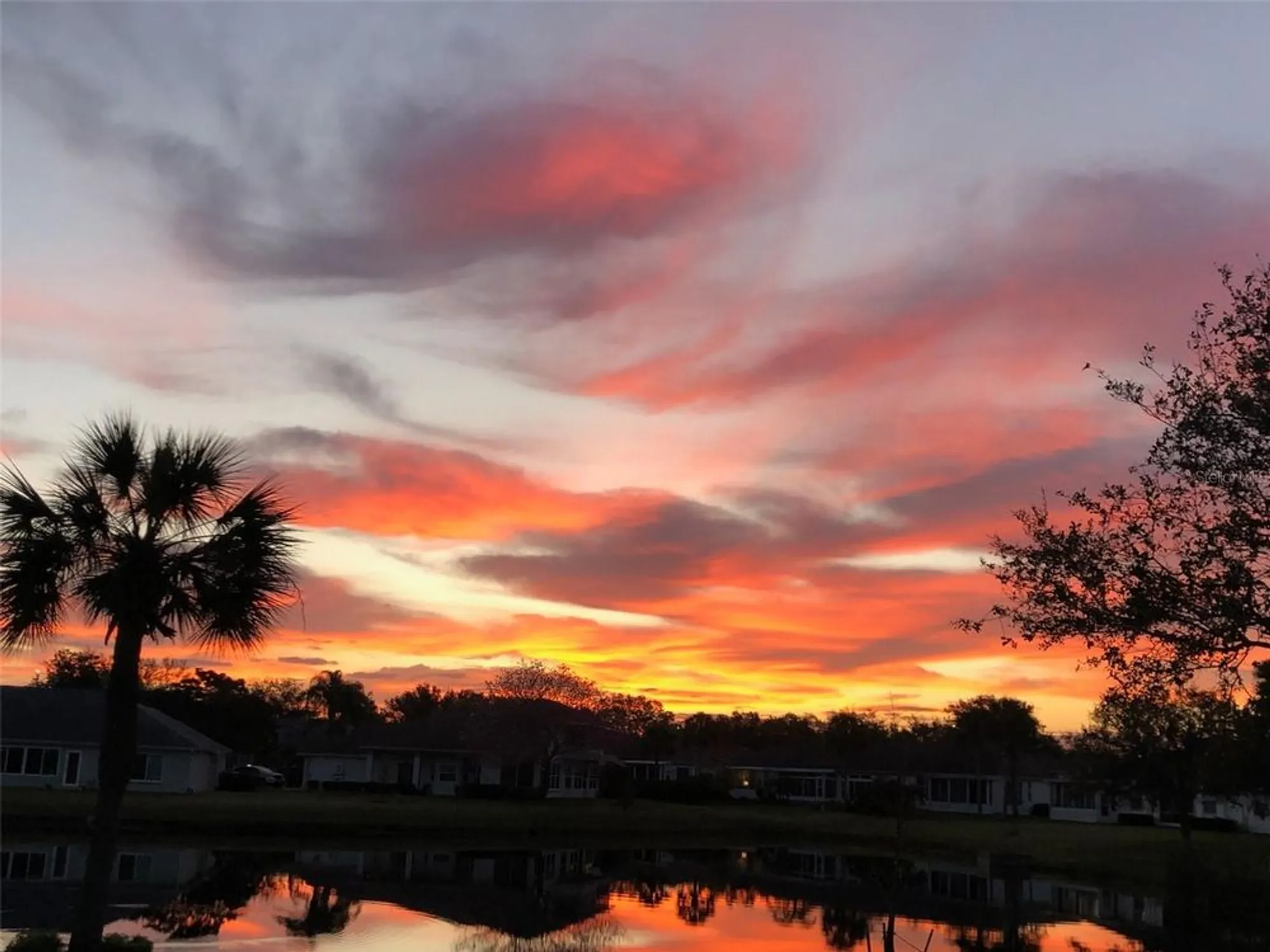 Property Slideshow image 10 of 47 | 1012 radison lake ct 59, Sun City Center, FL, 33573