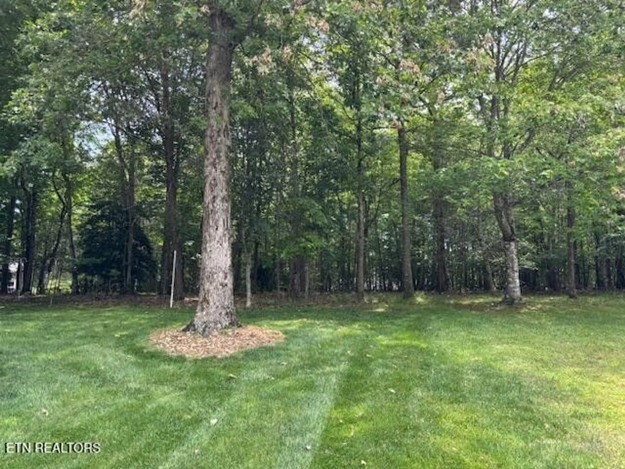 Property Slideshow image 19 of 23 | 141 forest hill dr, Crossville, TN, 38558