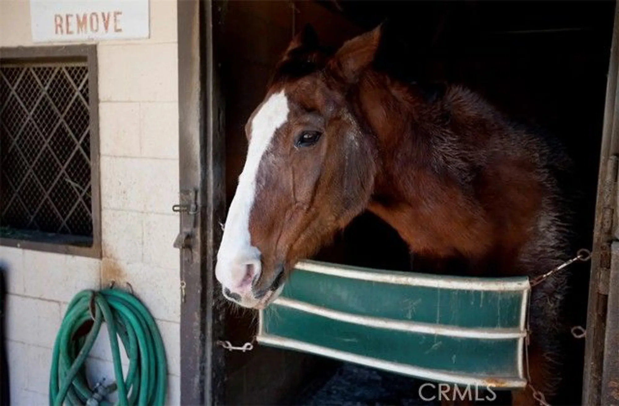 Property Slideshow image 31 of 33 | 803 ronda mendoza a, Laguna Woods, CA, 92637